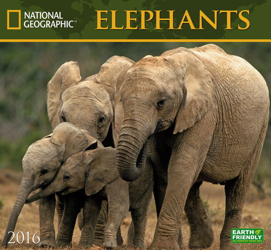 2016 Elephants Wall Calendar
