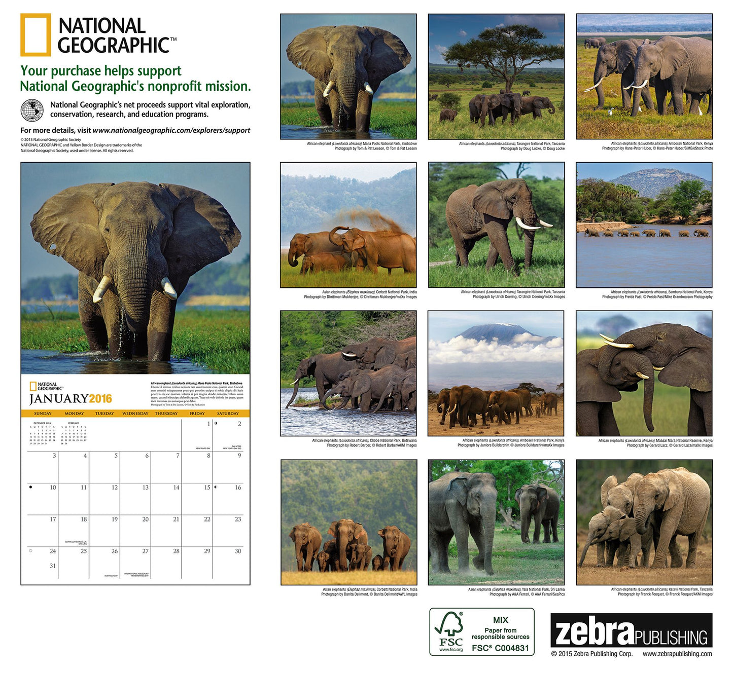 2016 Elephants Wall Calendar