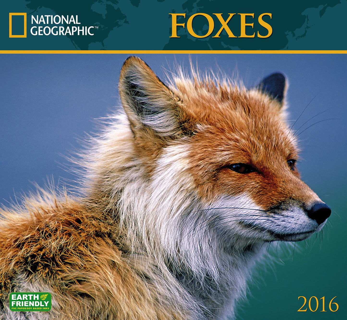 2016 Foxes Wall Calendar