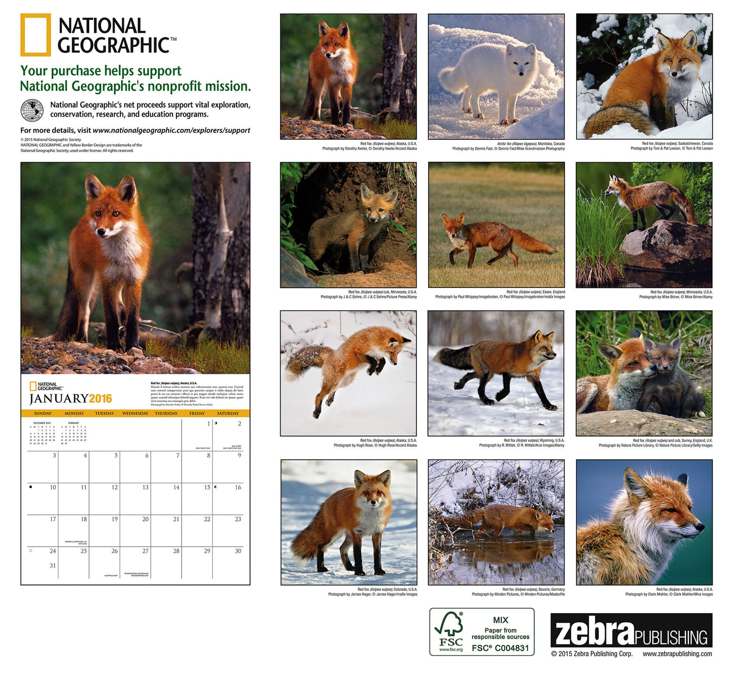 2016 Foxes Wall Calendar