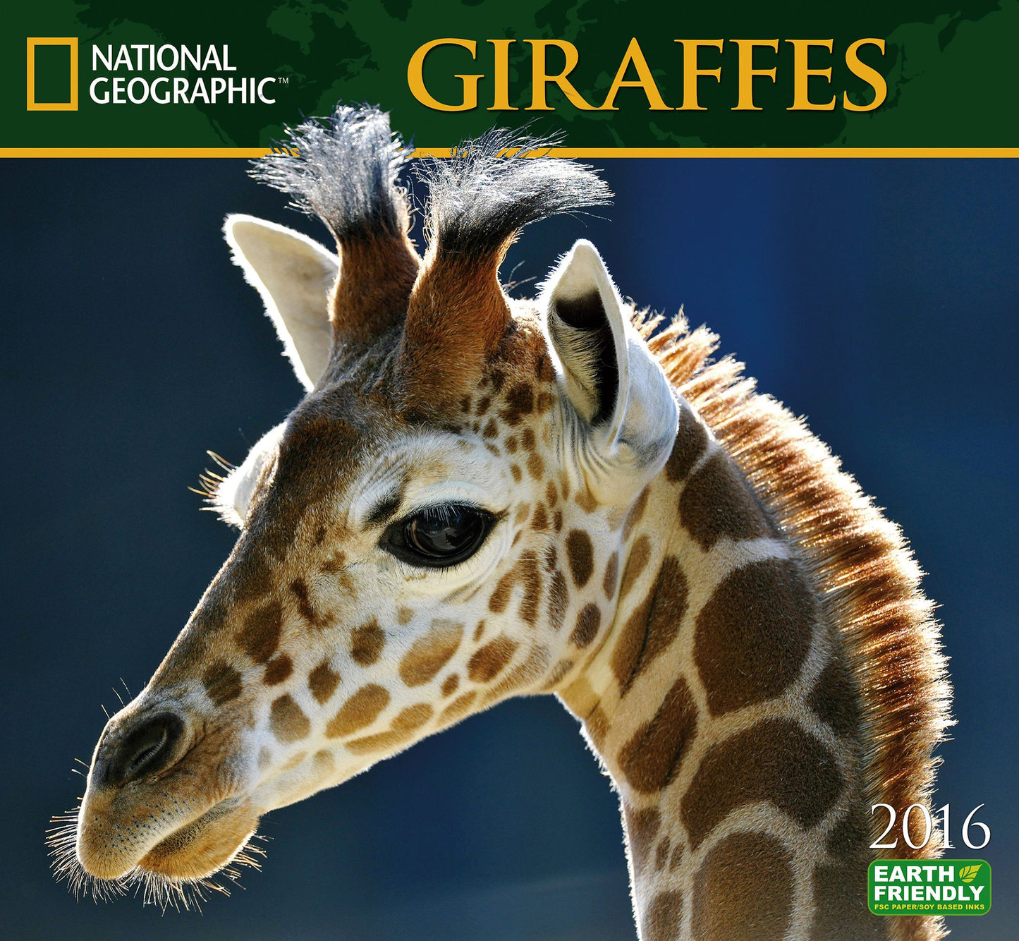 2016 Giraffes Wall Calendar