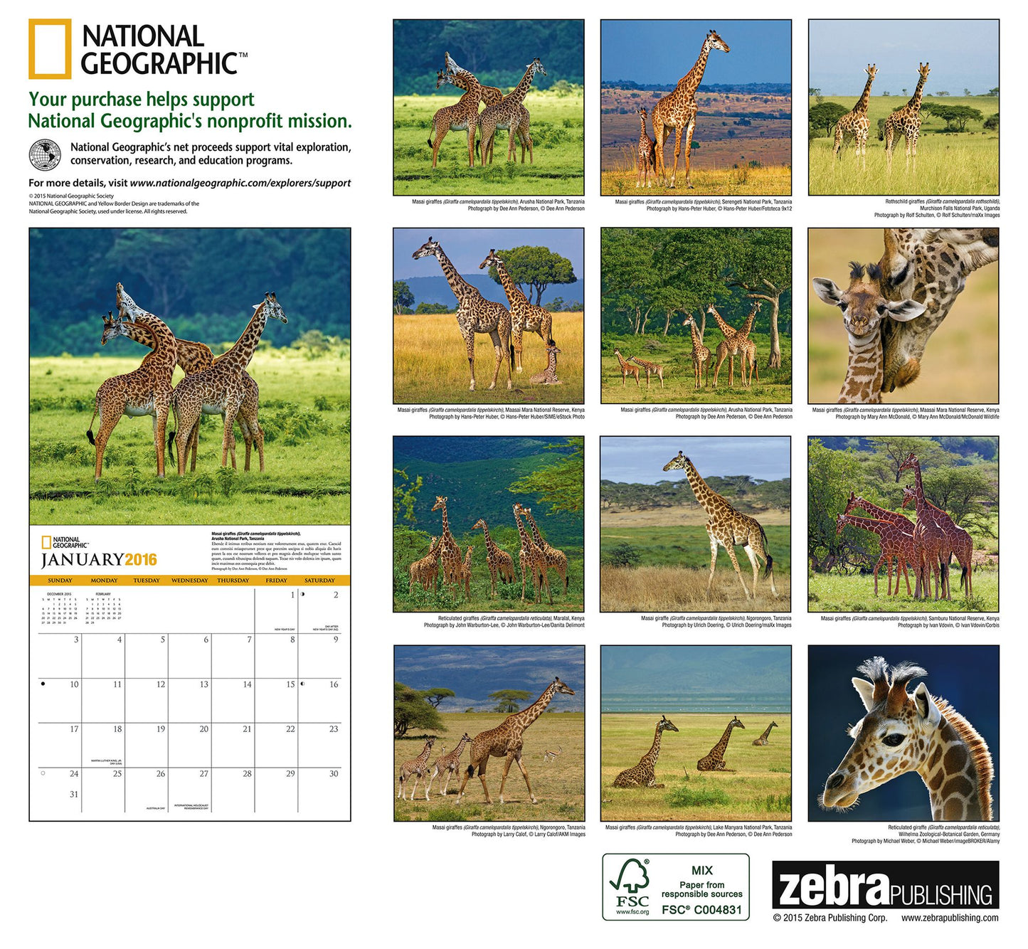 2016 Giraffes Wall Calendar