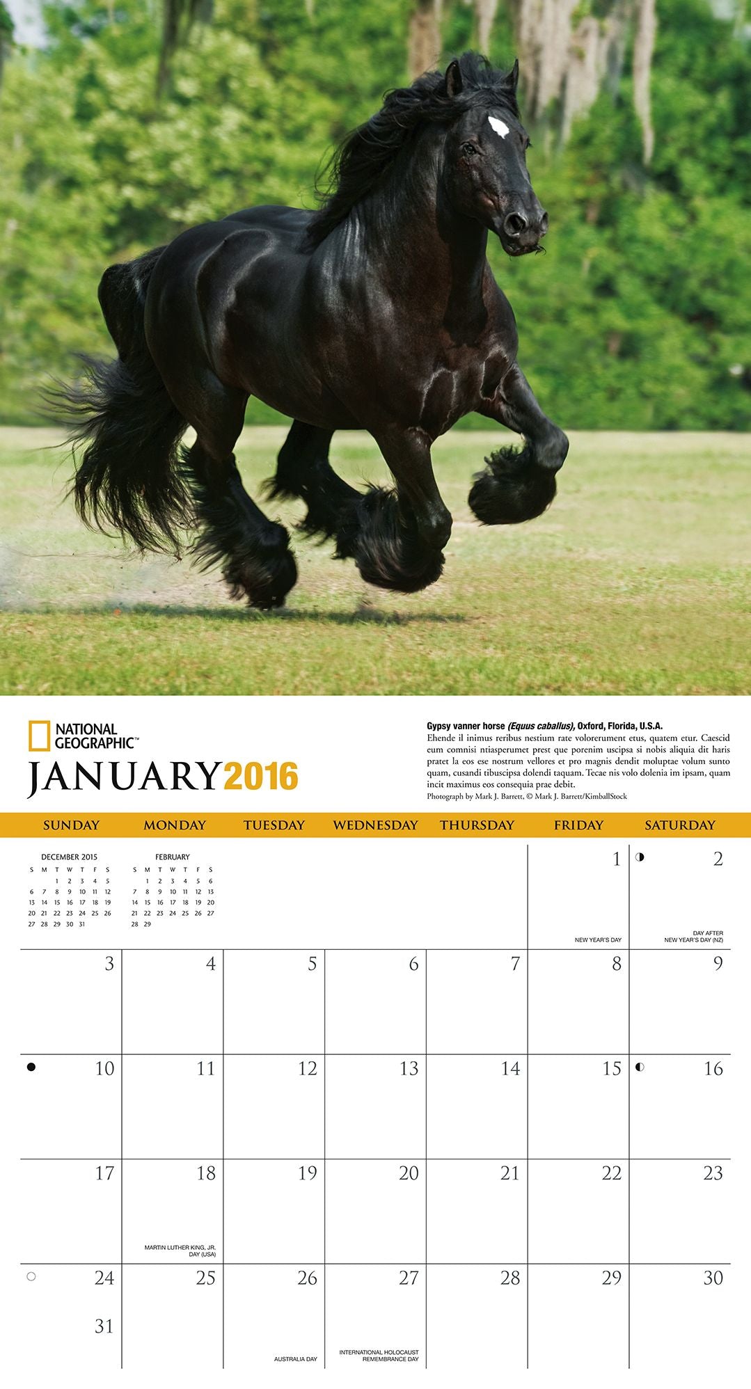 2016 Horses Wall Calendar
