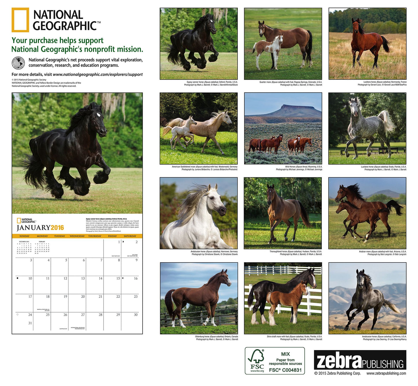 2016 Horses Wall Calendar