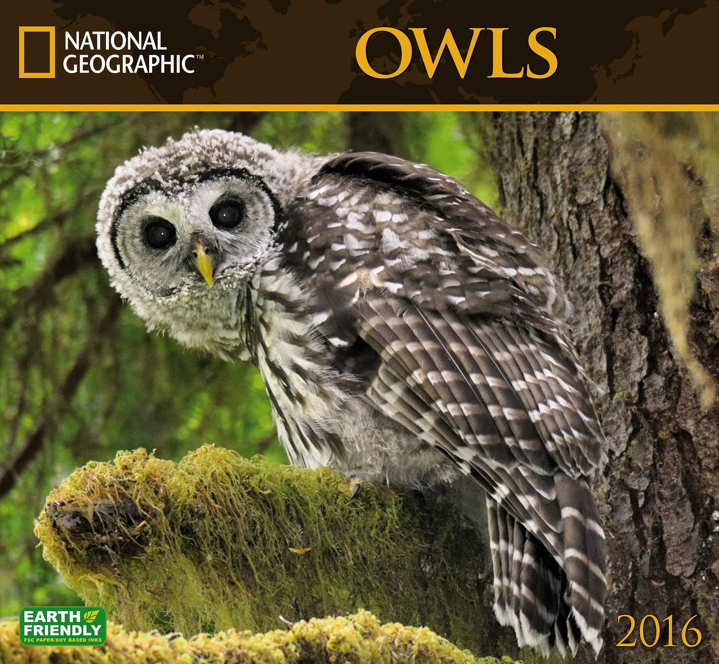 2016 Owls Wall Calendar