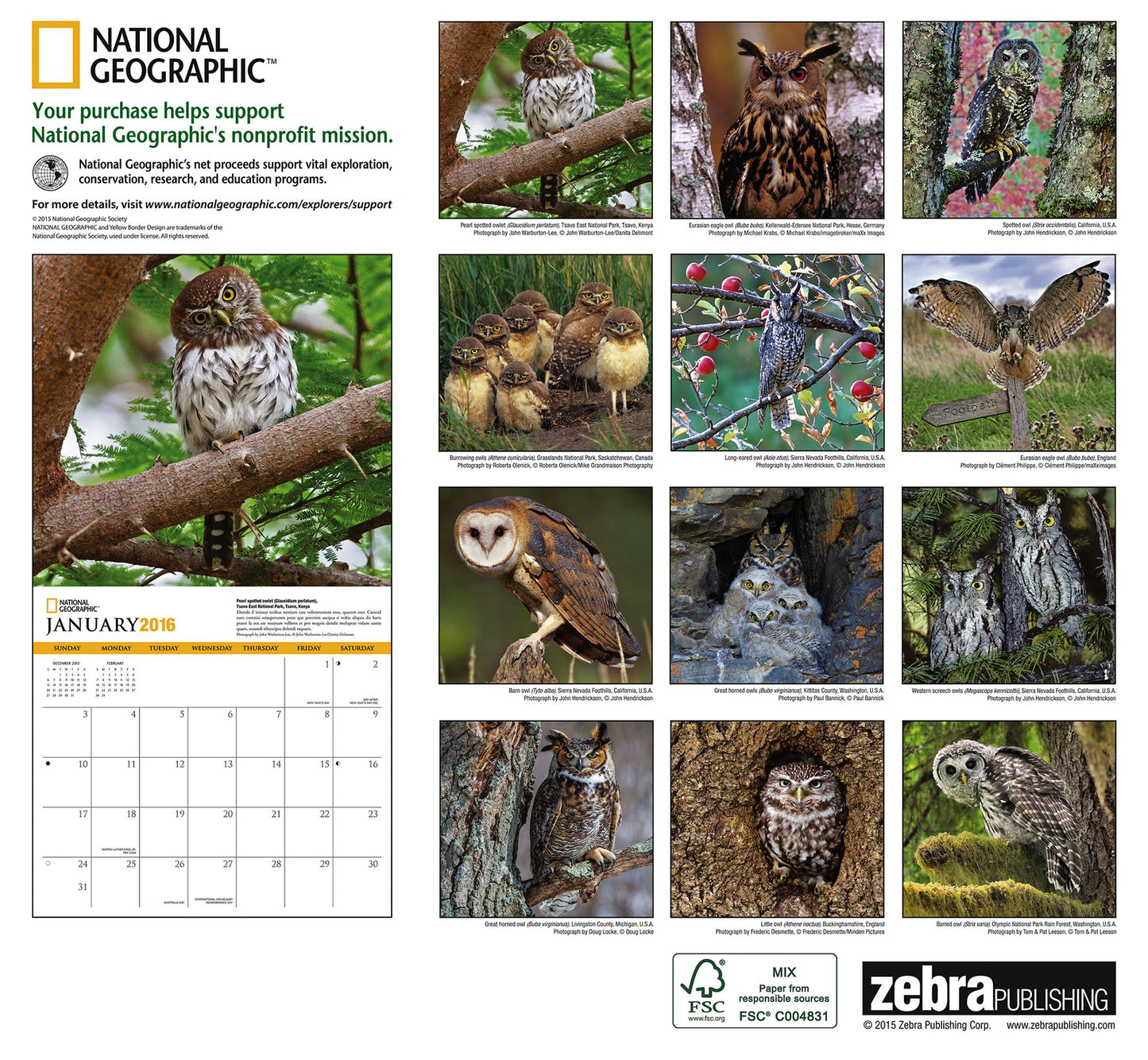 2016 Owls Wall Calendar