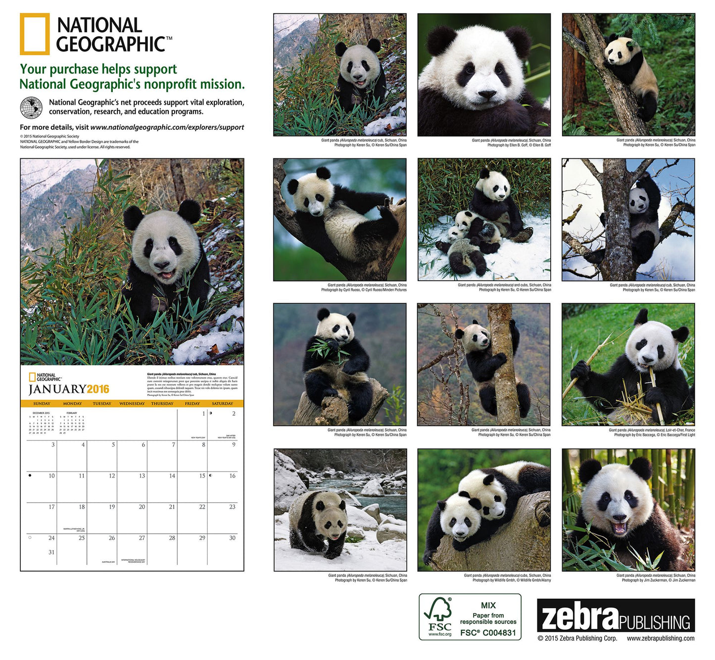 2016 Pandas Wall Calendar