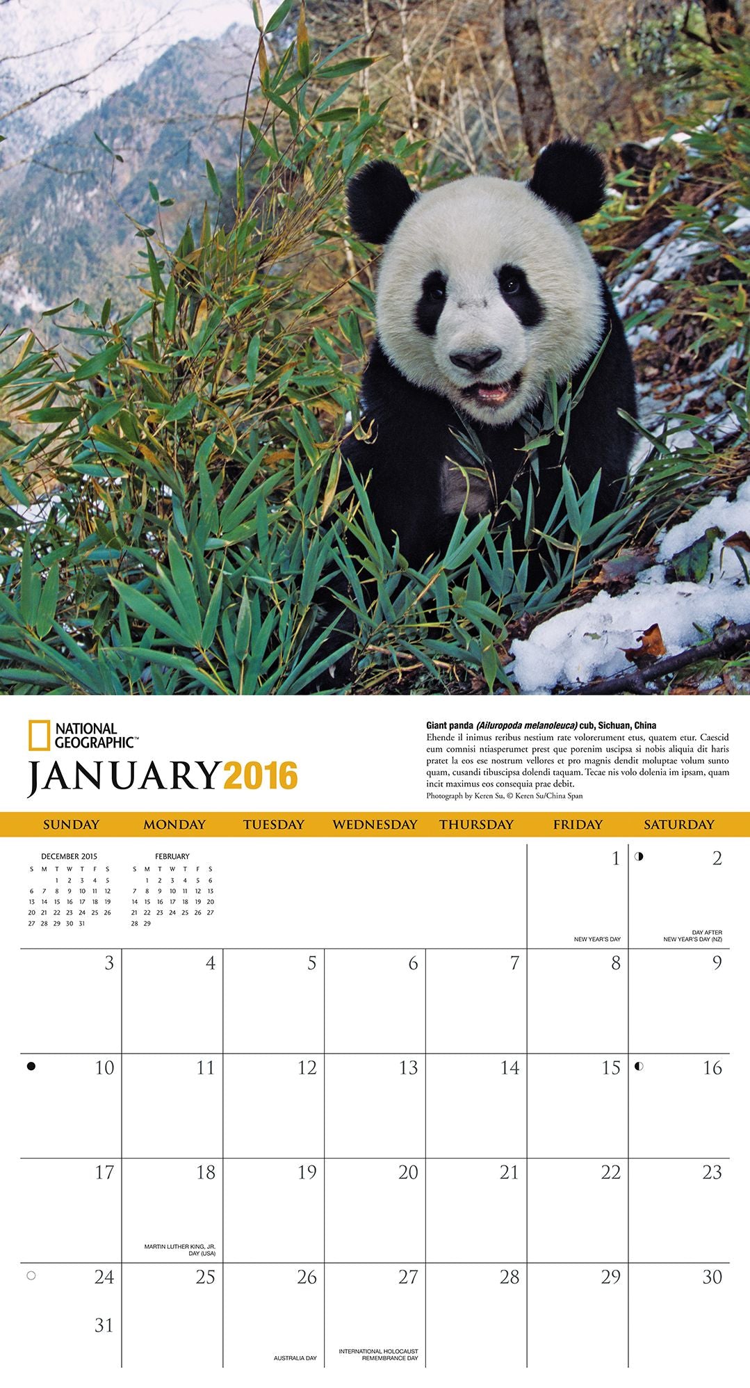 2016 Pandas Wall Calendar