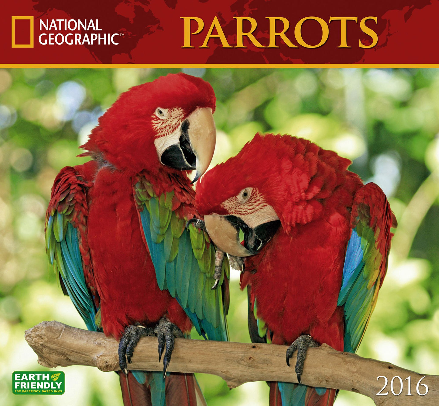 2016 Parrots Wall Calendar