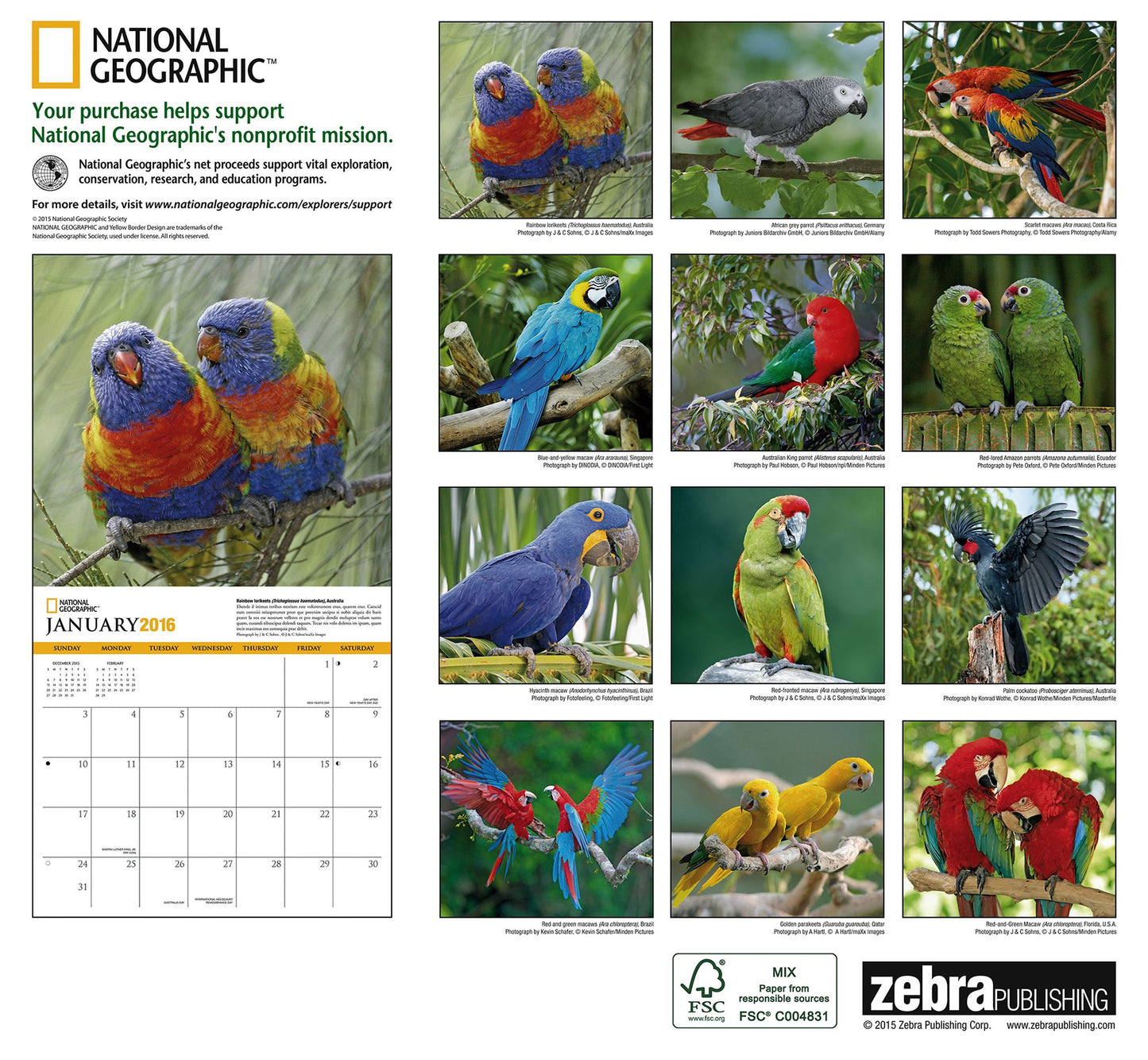 2016 Parrots Wall Calendar