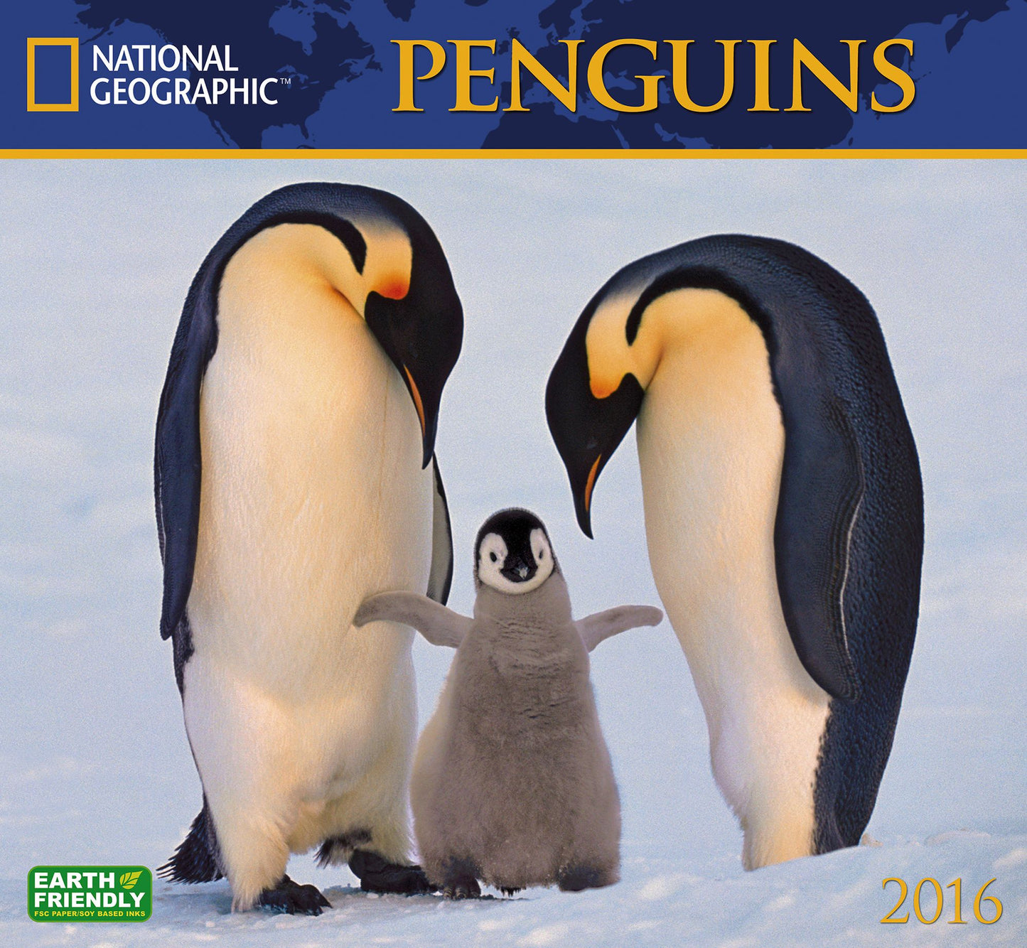2016 Penguins Wall Calendar