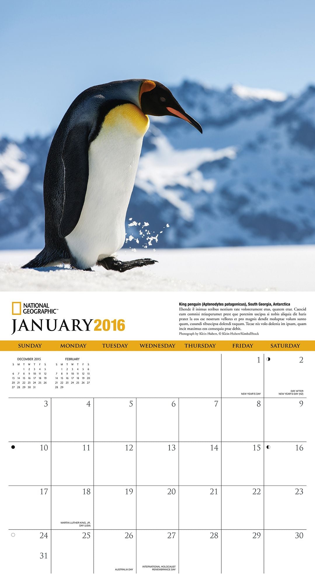 2016 Penguins Wall Calendar
