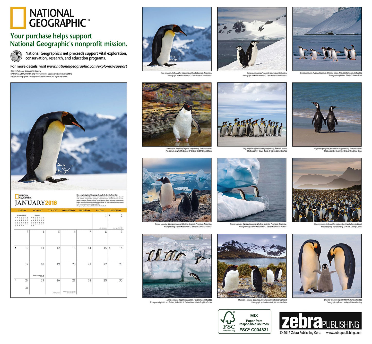 2016 Penguins Wall Calendar