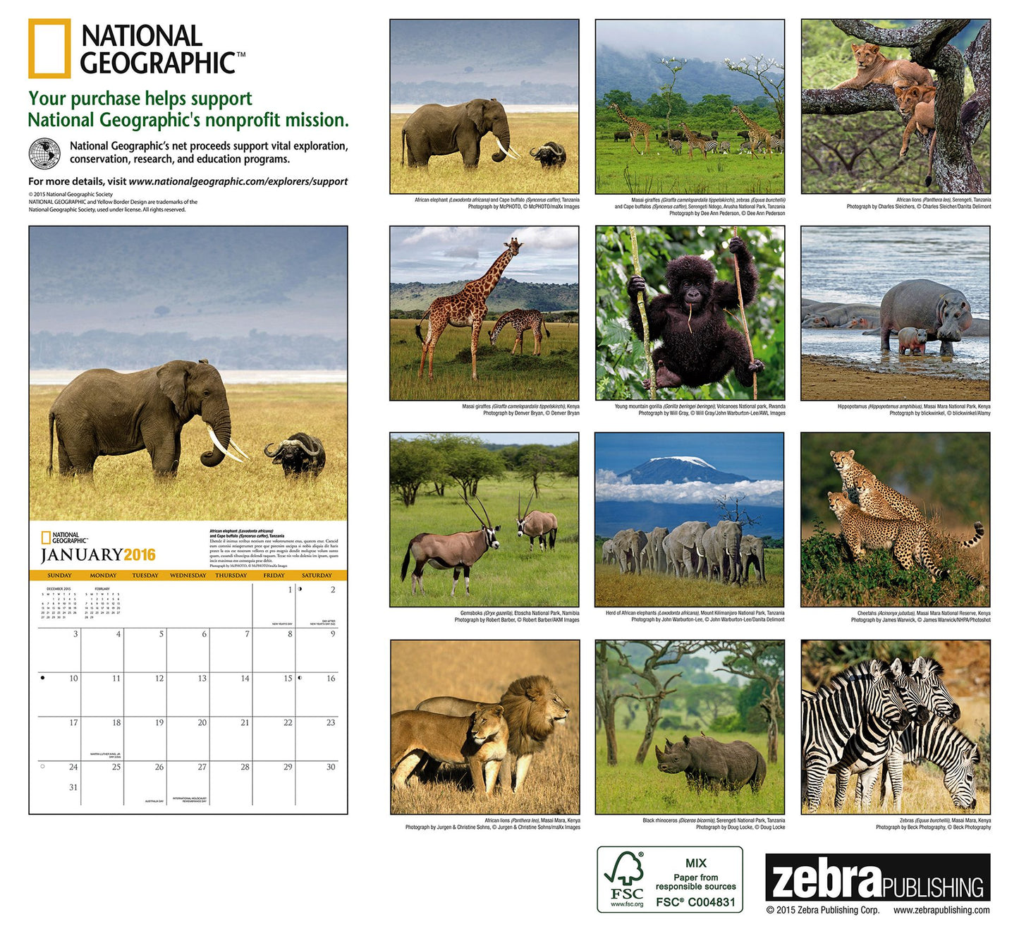 2016 Safari Wall Calendar