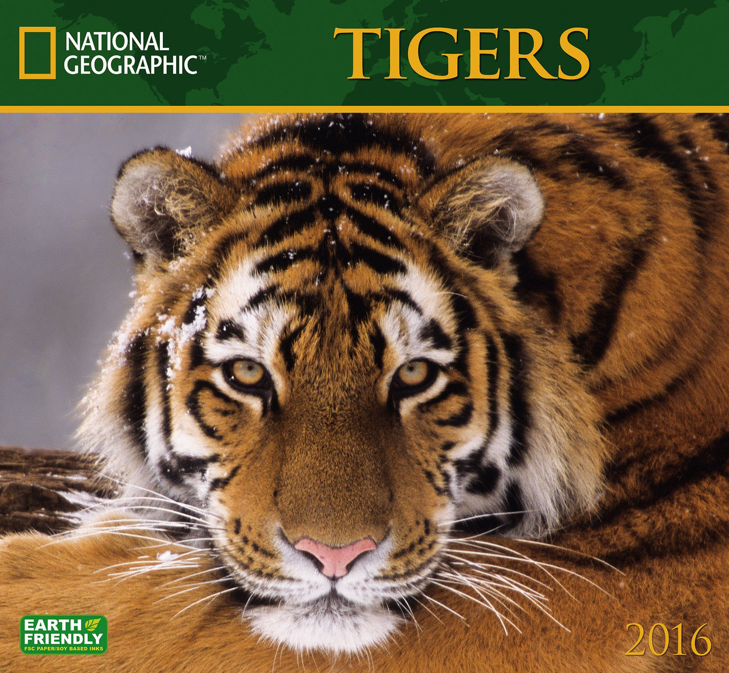 2016 Tigers Wall Calendar