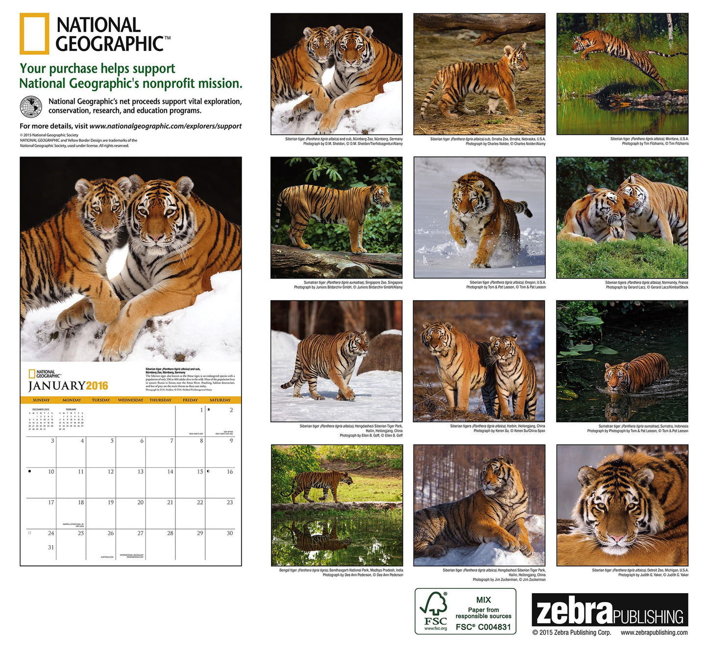 2016 Tigers Wall Calendar
