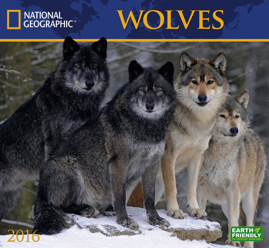 2016 Wolves Wall Calendar
