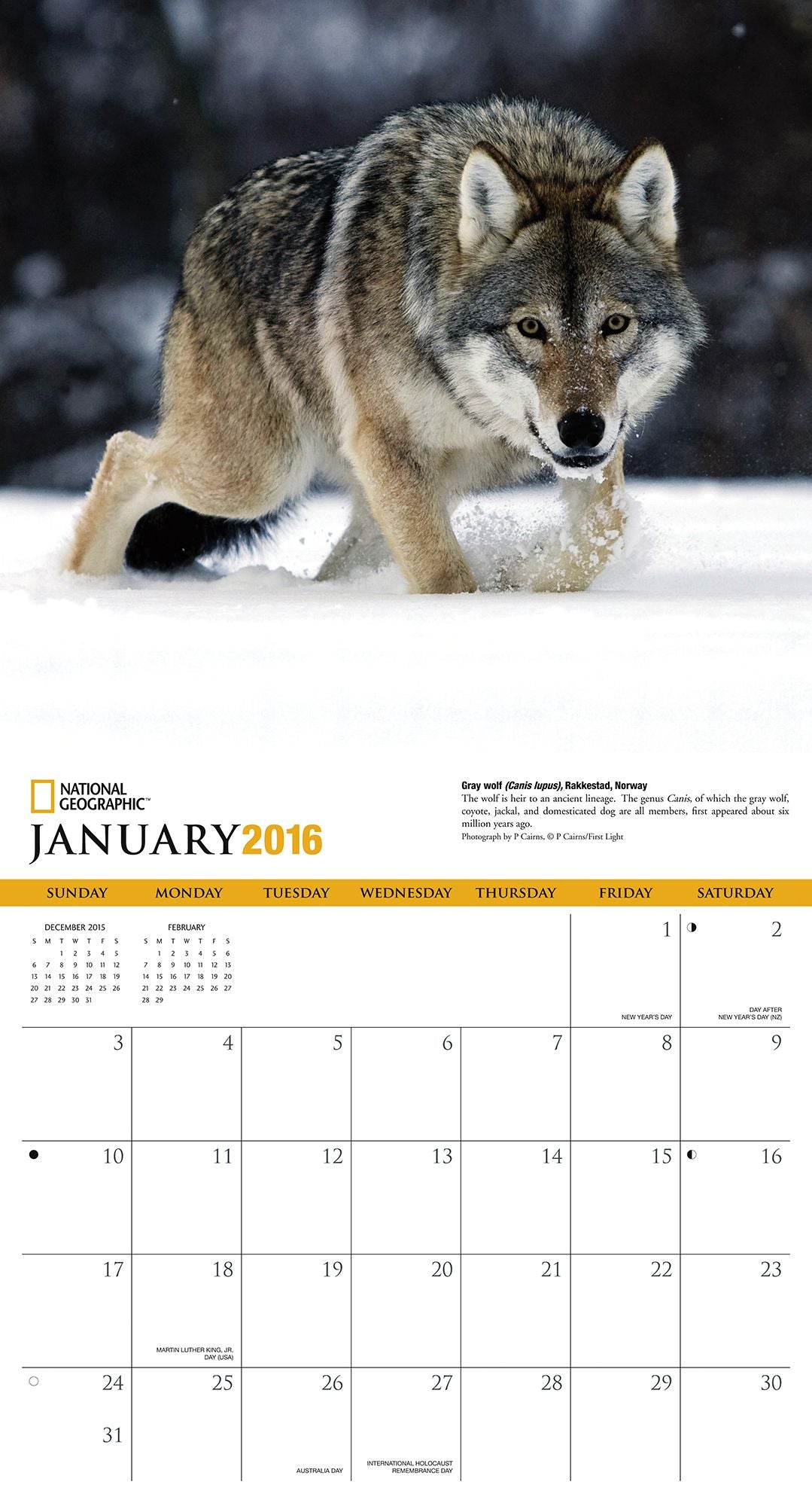 2016 Wolves Wall Calendar