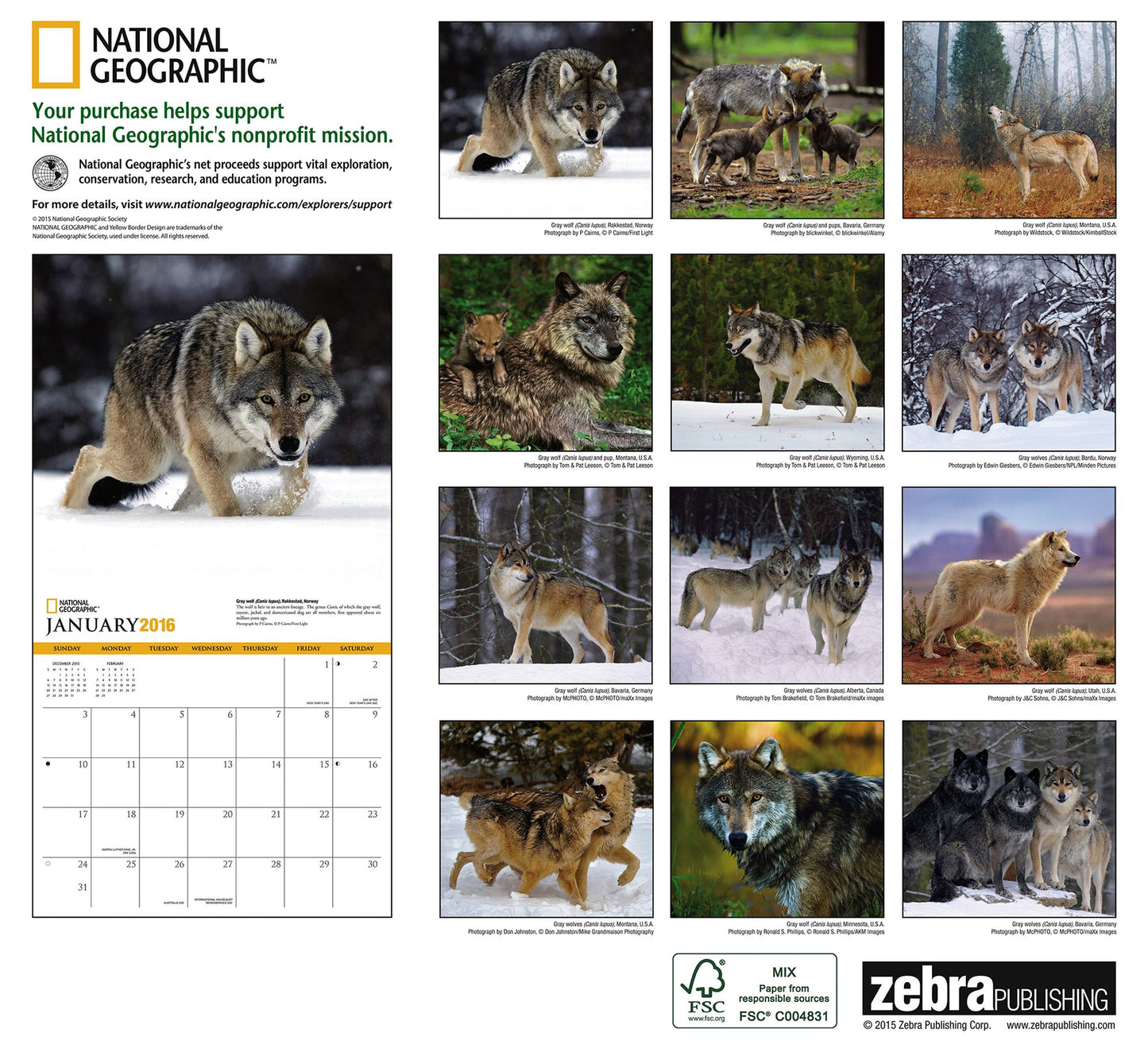 2016 Wolves Wall Calendar