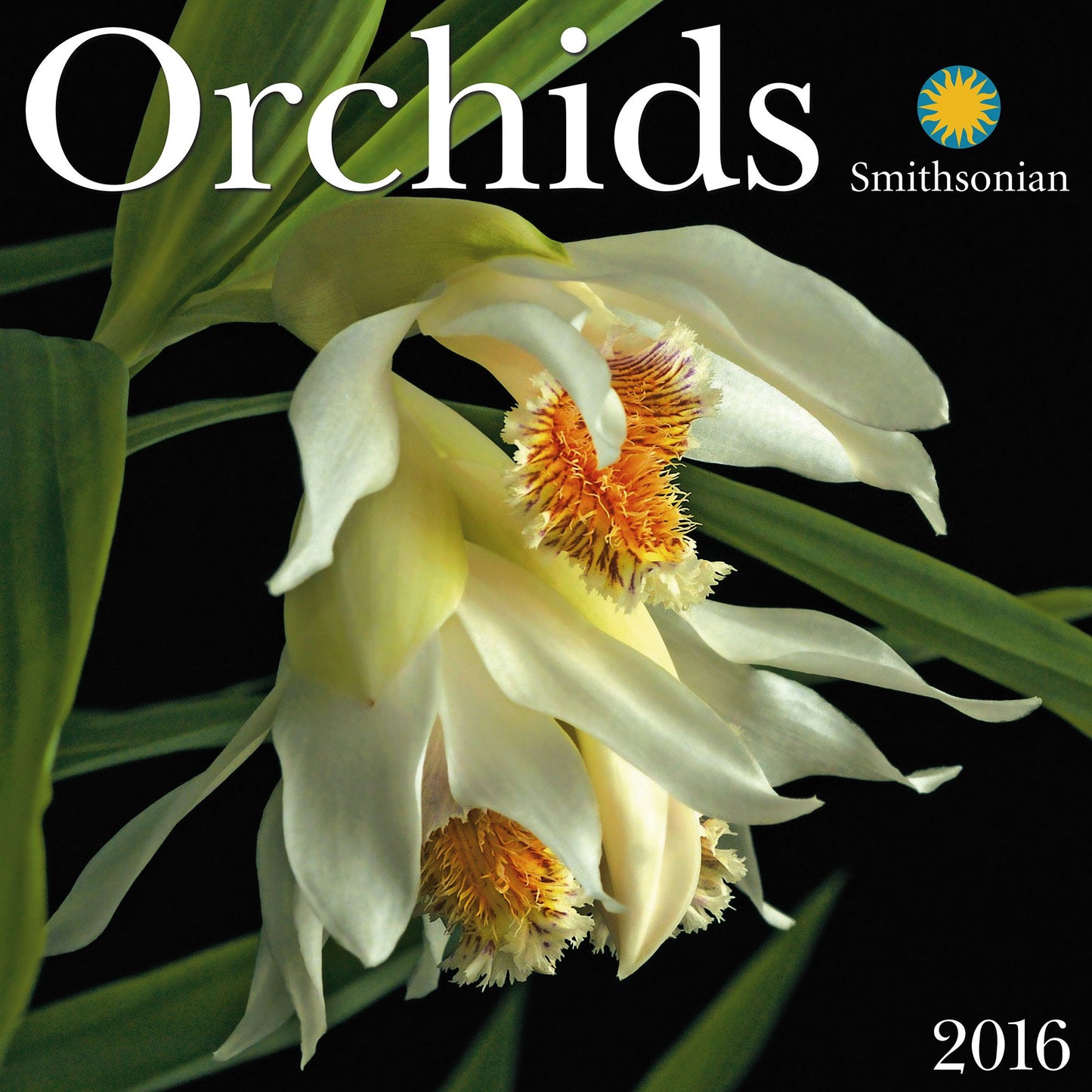 2016 Orchids Wall Calendar