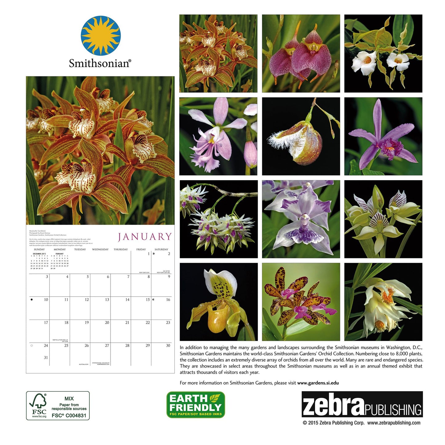 2016 Orchids Wall Calendar