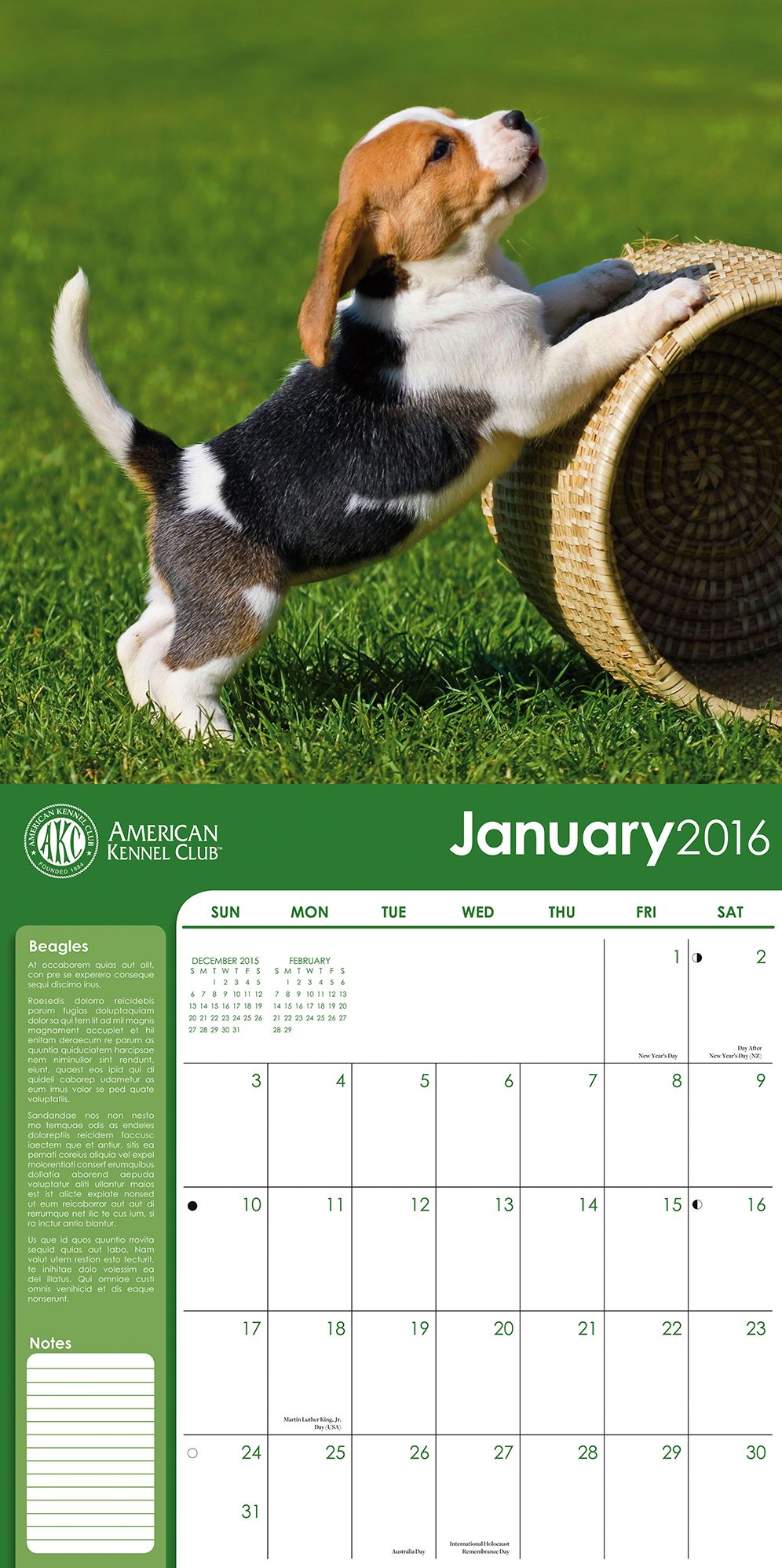 2016 Beagles Wall Calendar