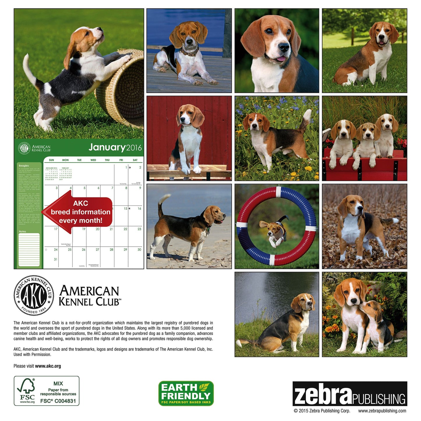 2016 Beagles Wall Calendar
