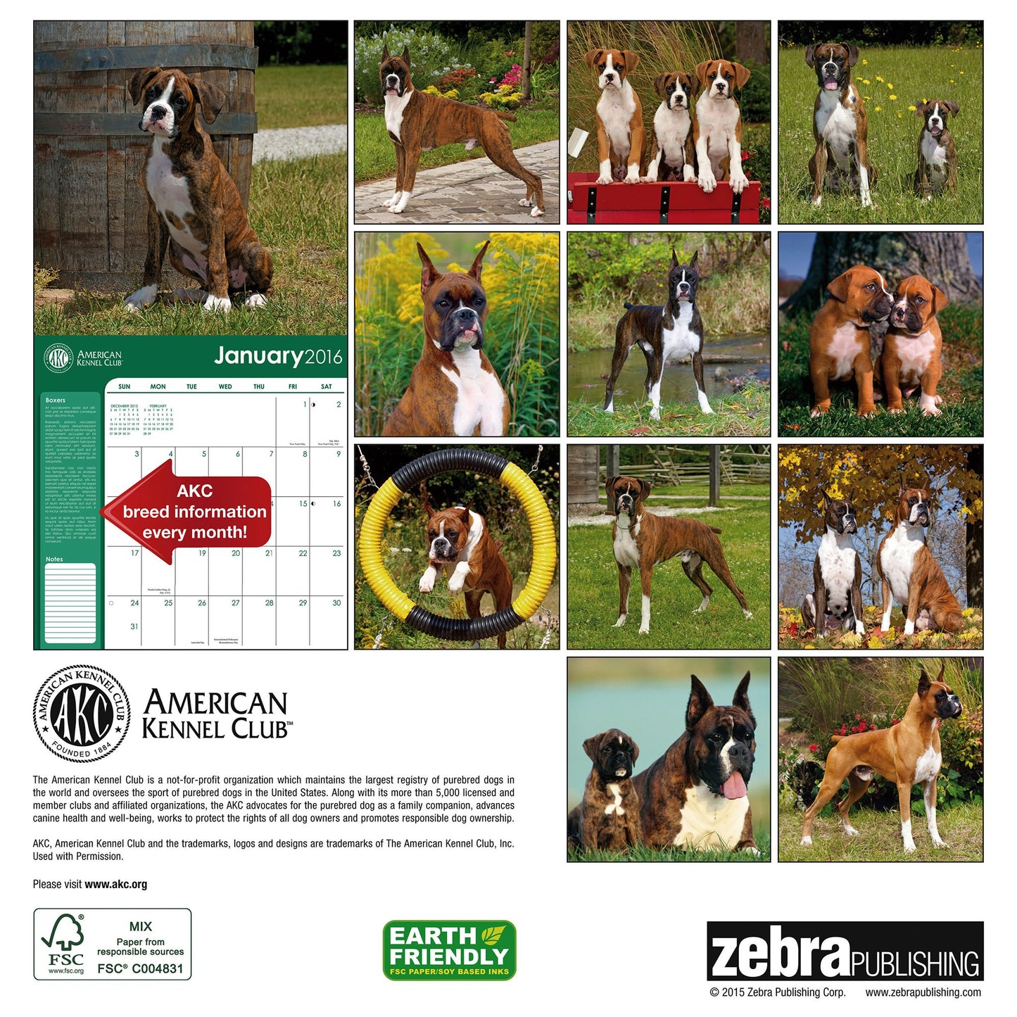 2016 Boxers Wall Calendar