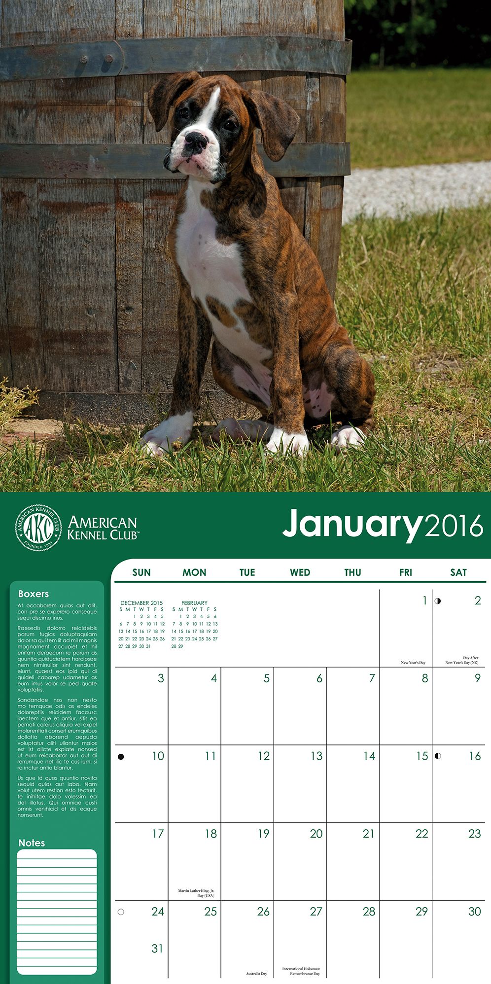 2016 Boxers Wall Calendar