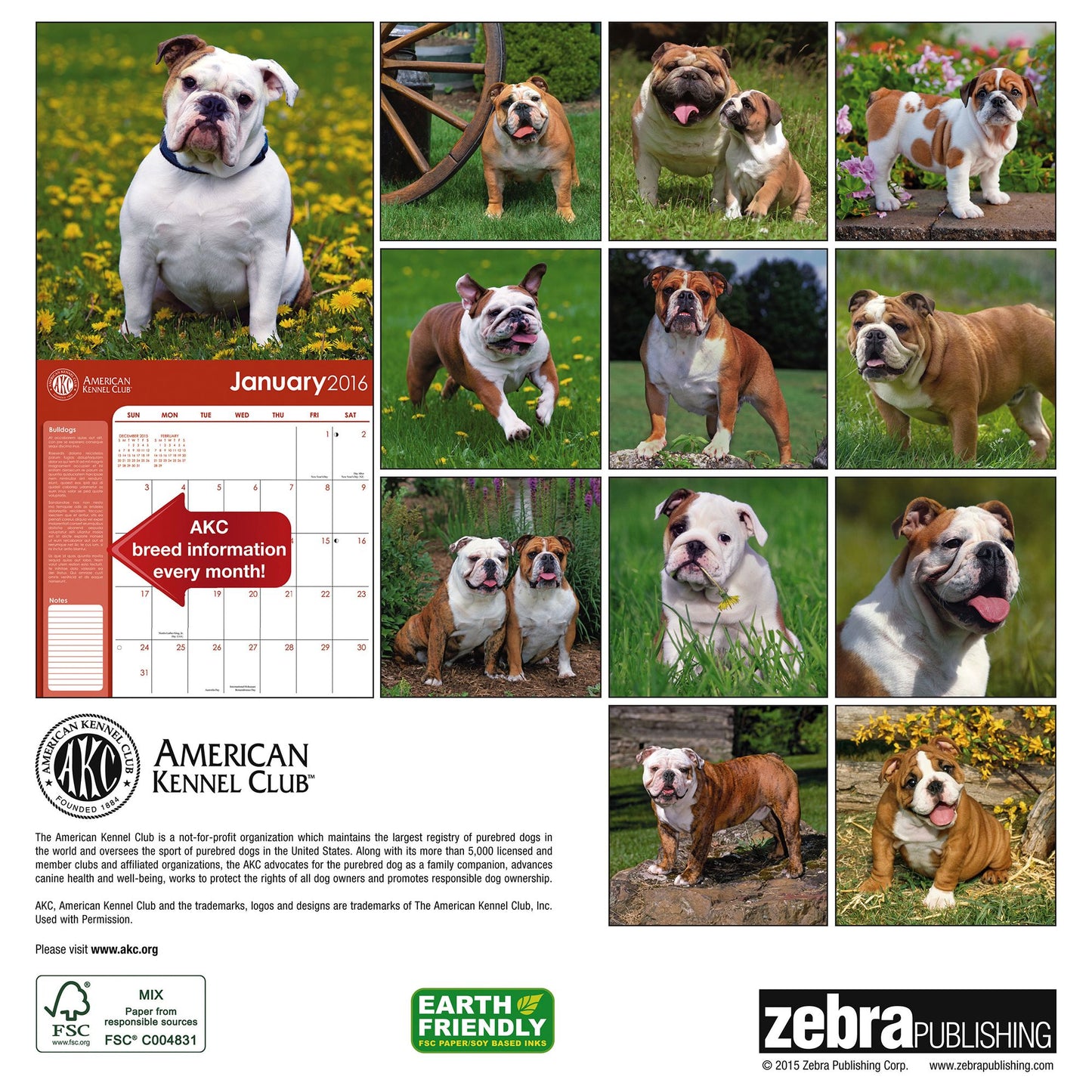 2016 Bulldogs Wall Calendar