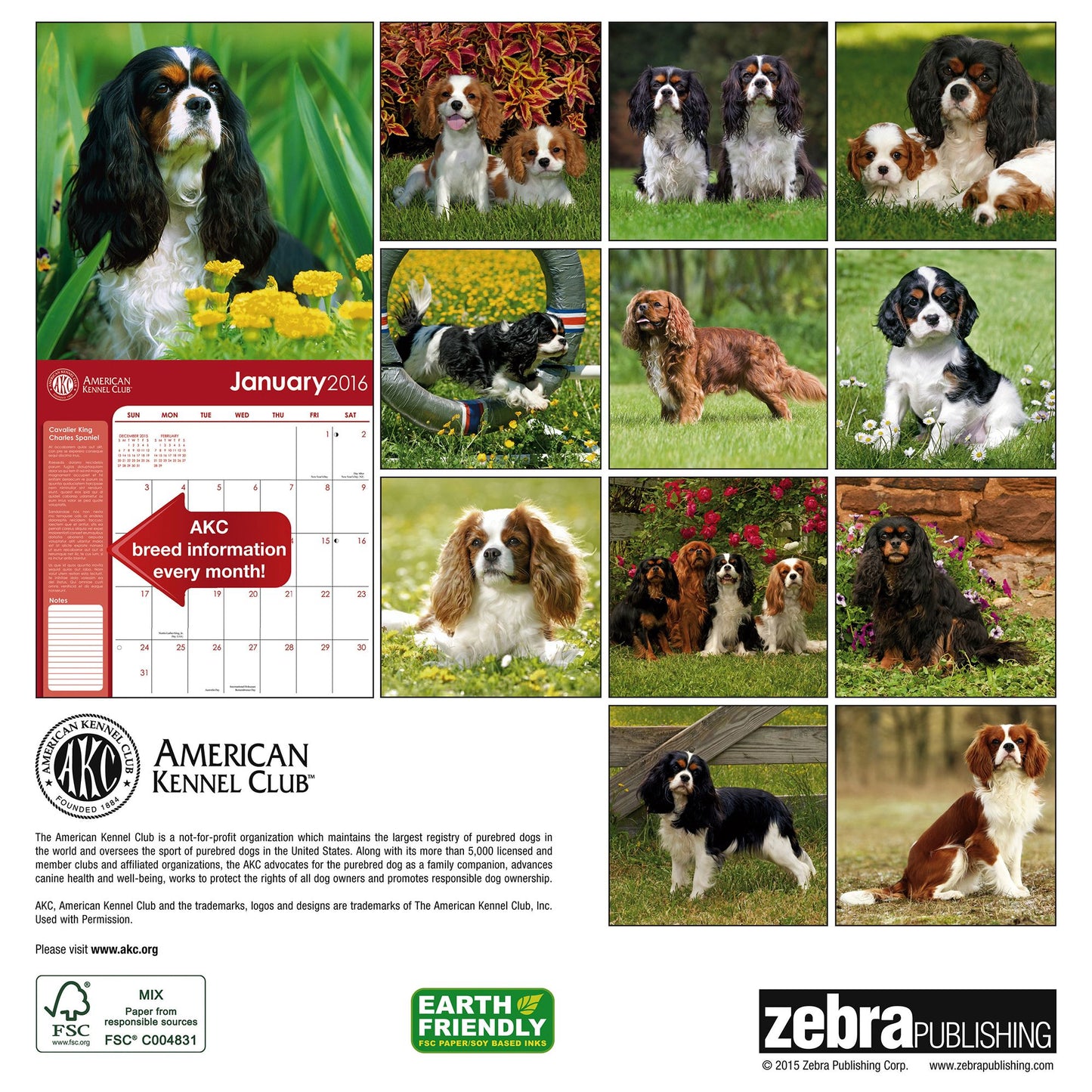 2016 Cavalier King Charles Spaniels Wall Calendar