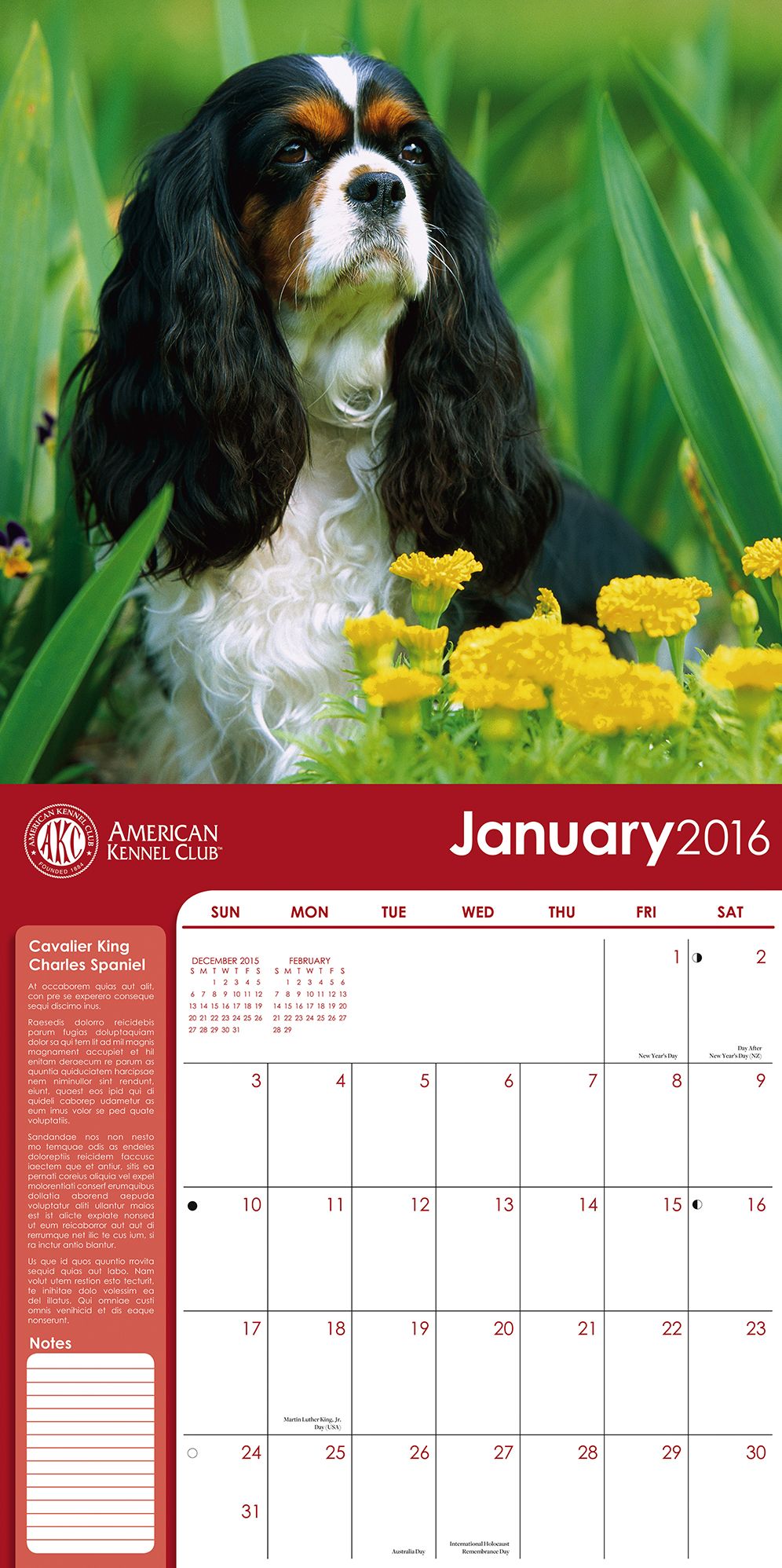 2016 Cavalier King Charles Spaniels Wall Calendar