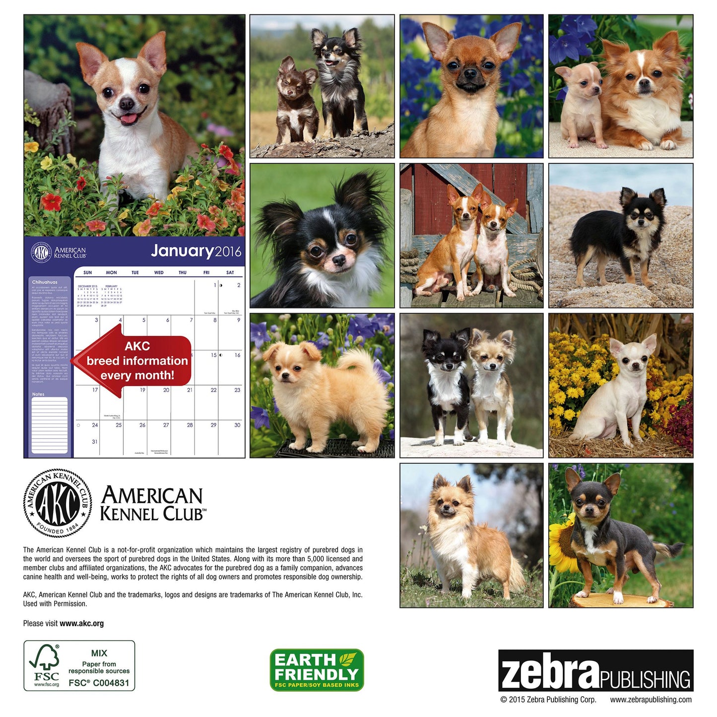 2016 Chihuahuas Wall Calendar