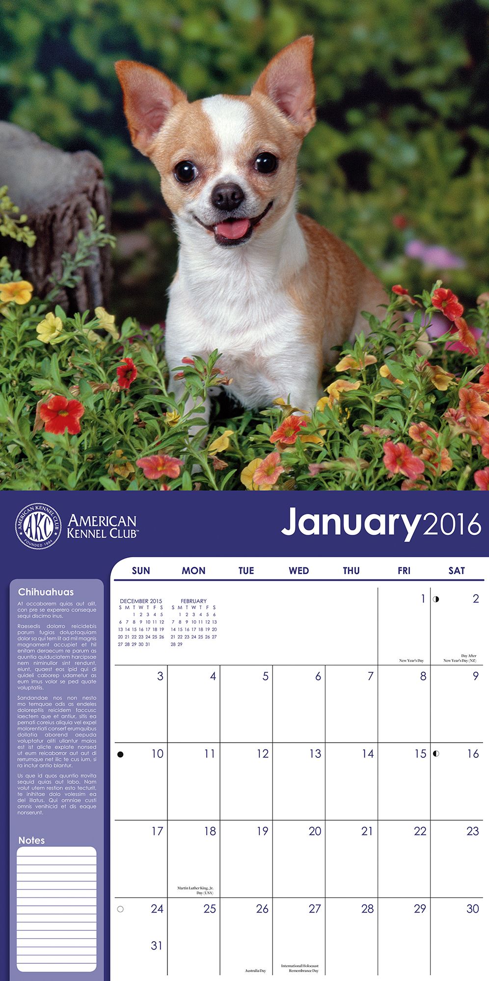 2016 Chihuahuas Wall Calendar