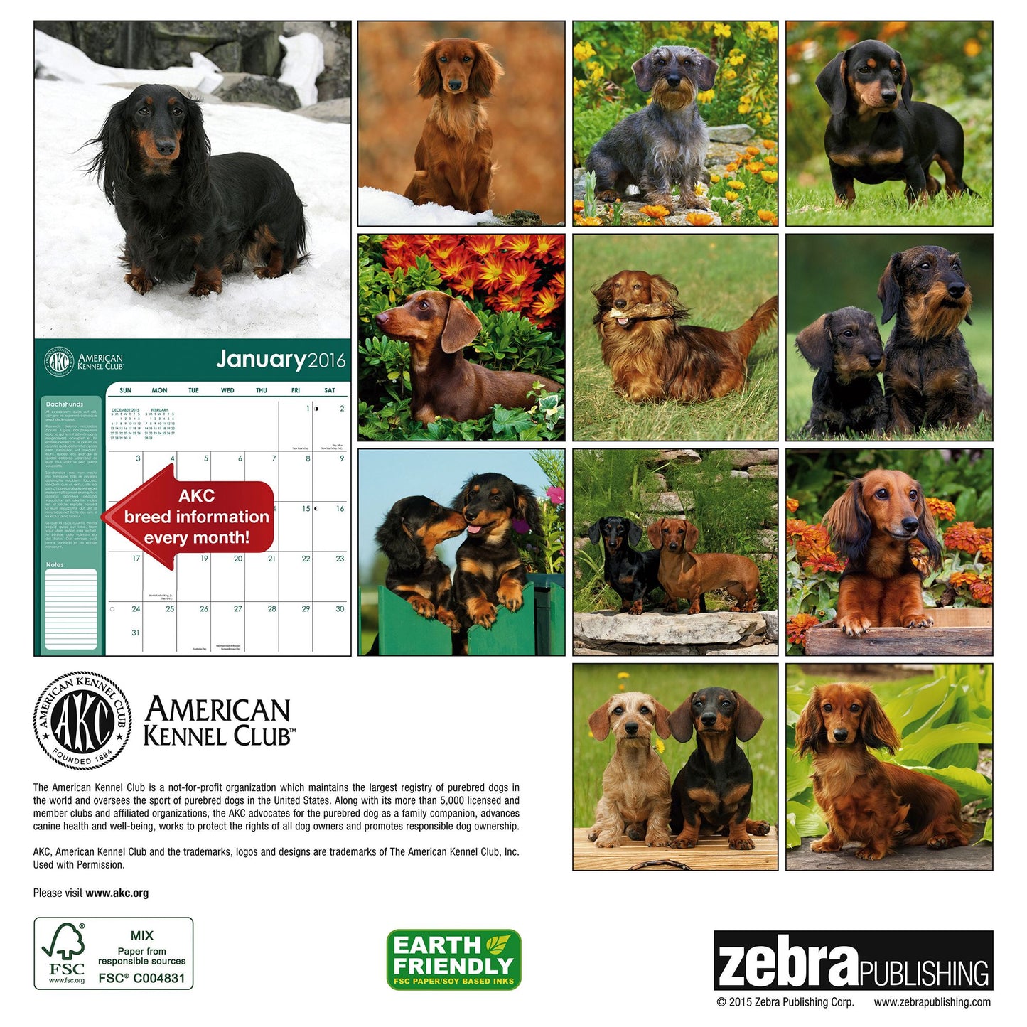 2016 Dachshunds Wall Calendar