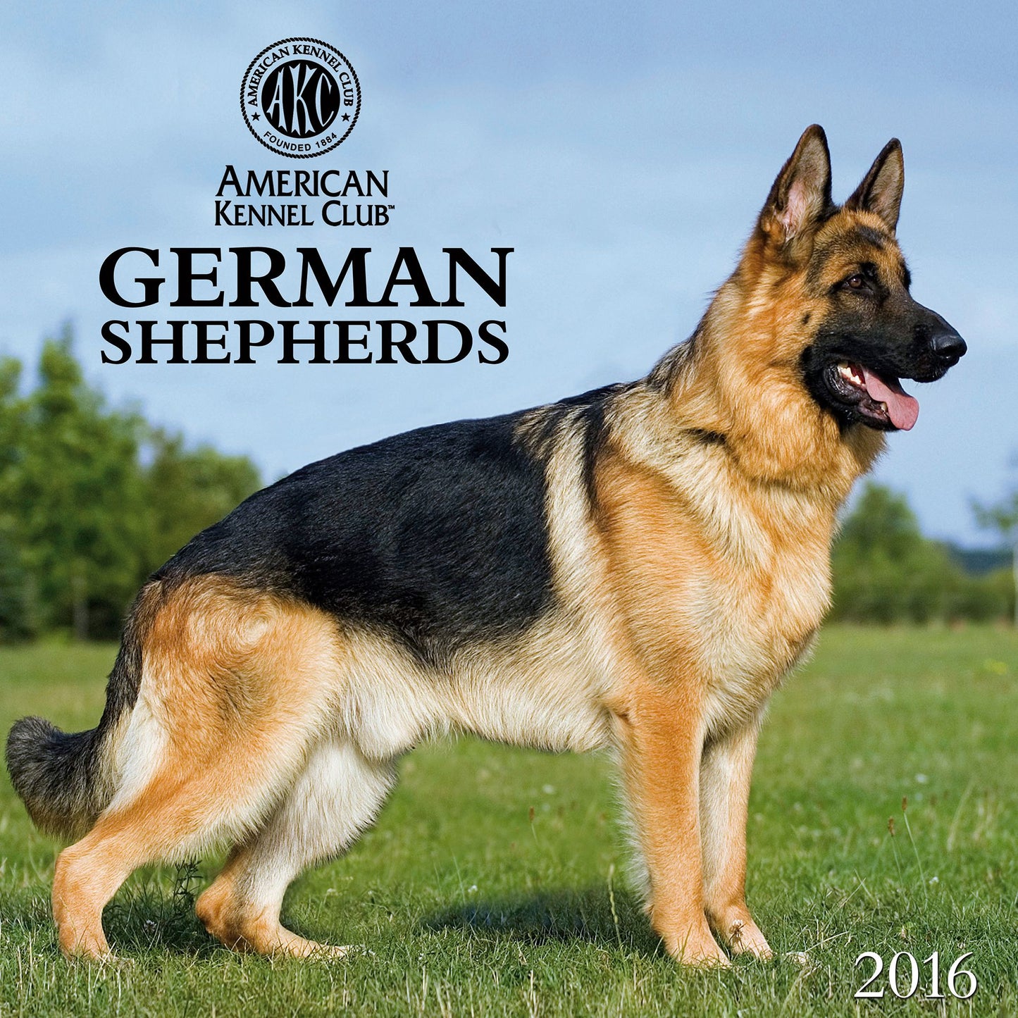 2016 German Shepherds Wall Calendar