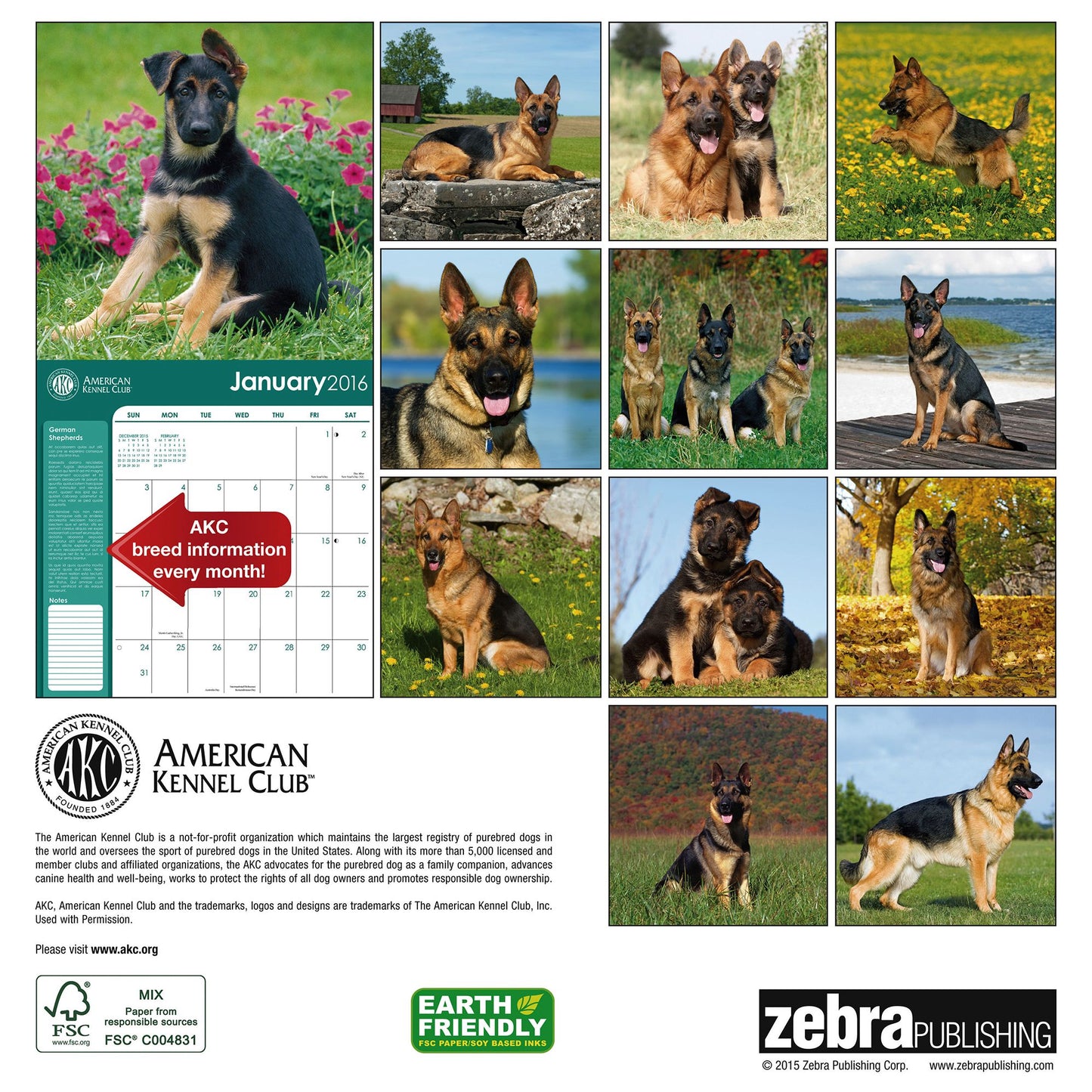 2016 German Shepherds Wall Calendar