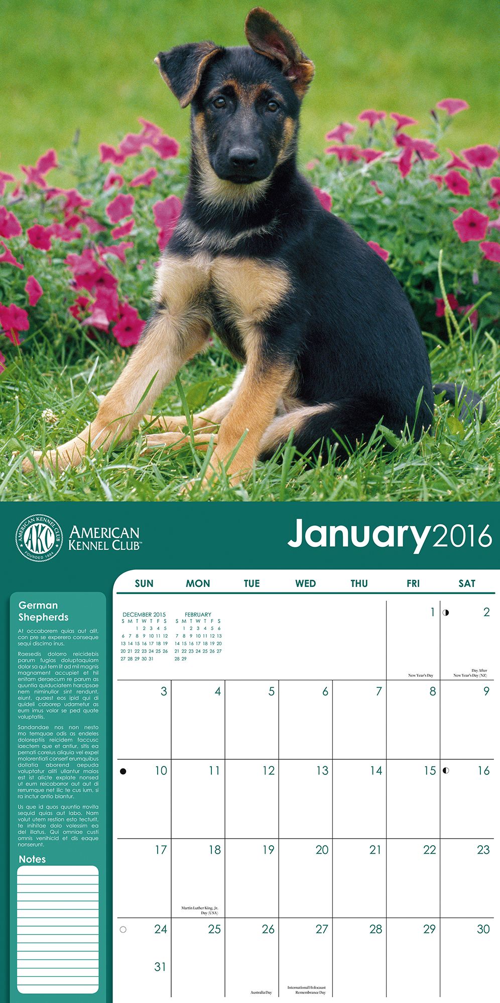 2016 German Shepherds Wall Calendar