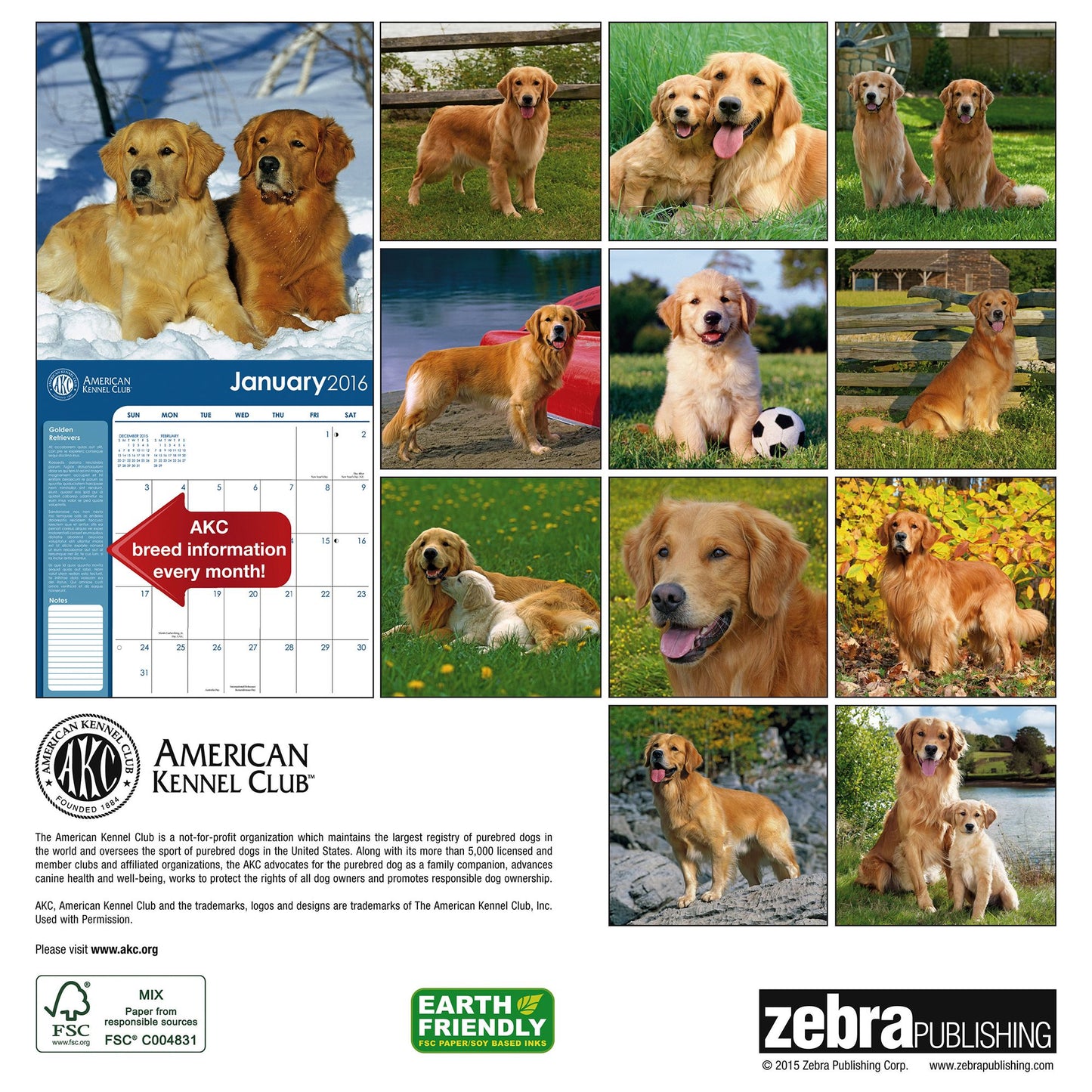 2016 Golden Retrievers Wall Calendar