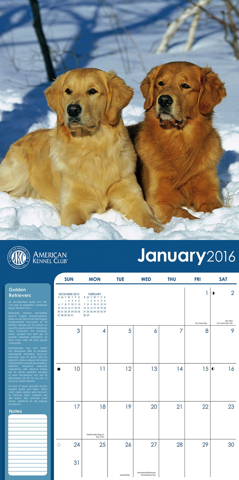 2016 Golden Retrievers Wall Calendar