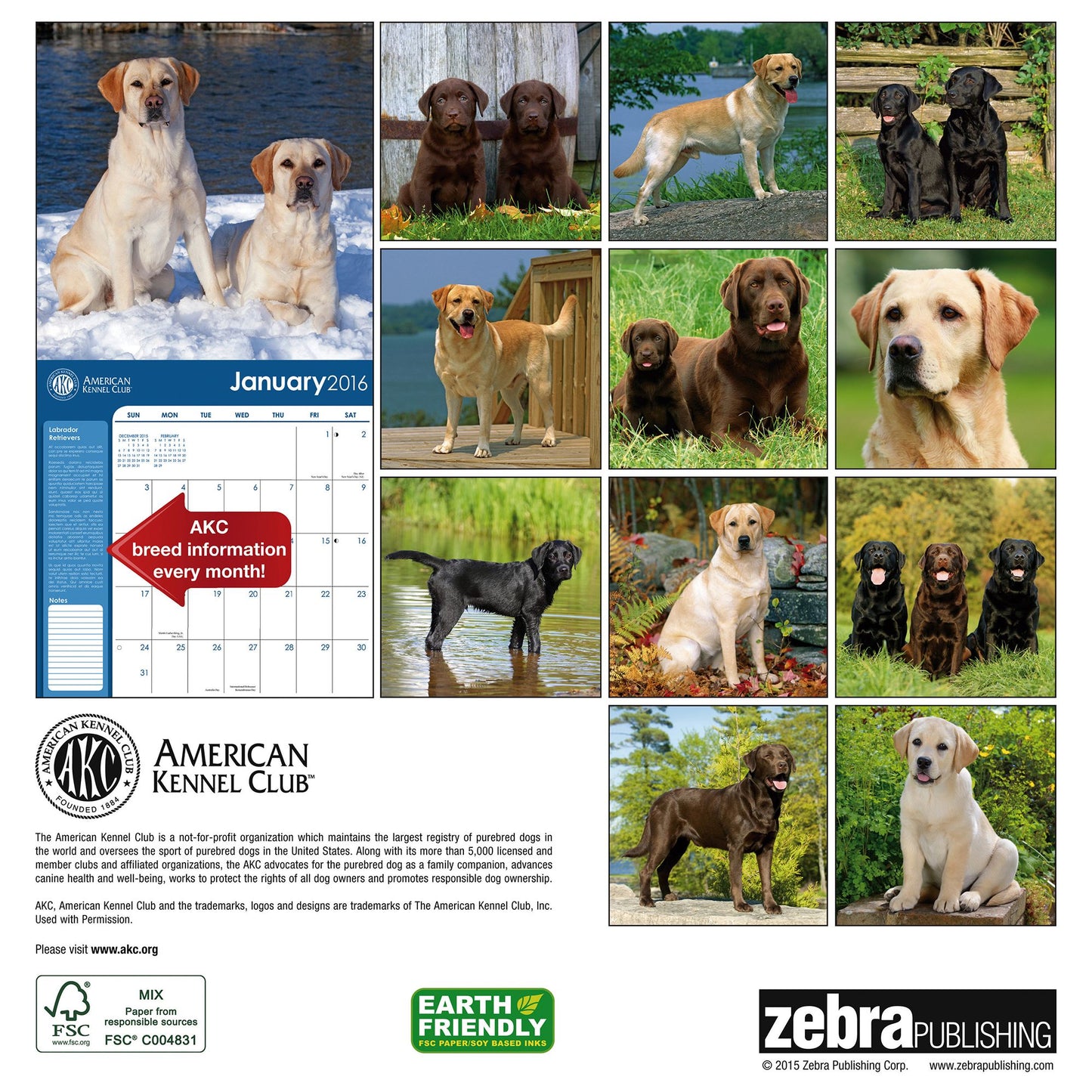 2016 Labrador Retrievers Wall Calendar