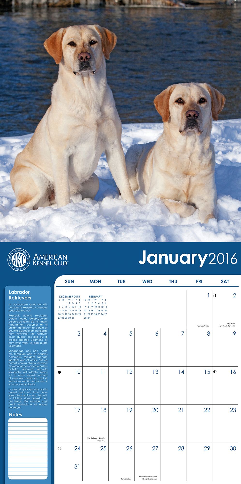2016 Labrador Retrievers Wall Calendar