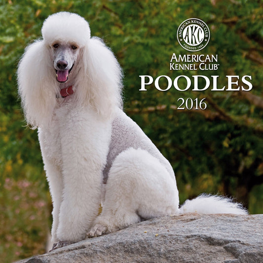 2016 Poodles Wall Calendar
