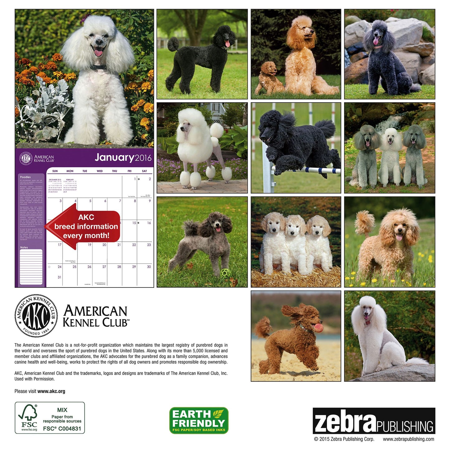 2016 Poodles Wall Calendar