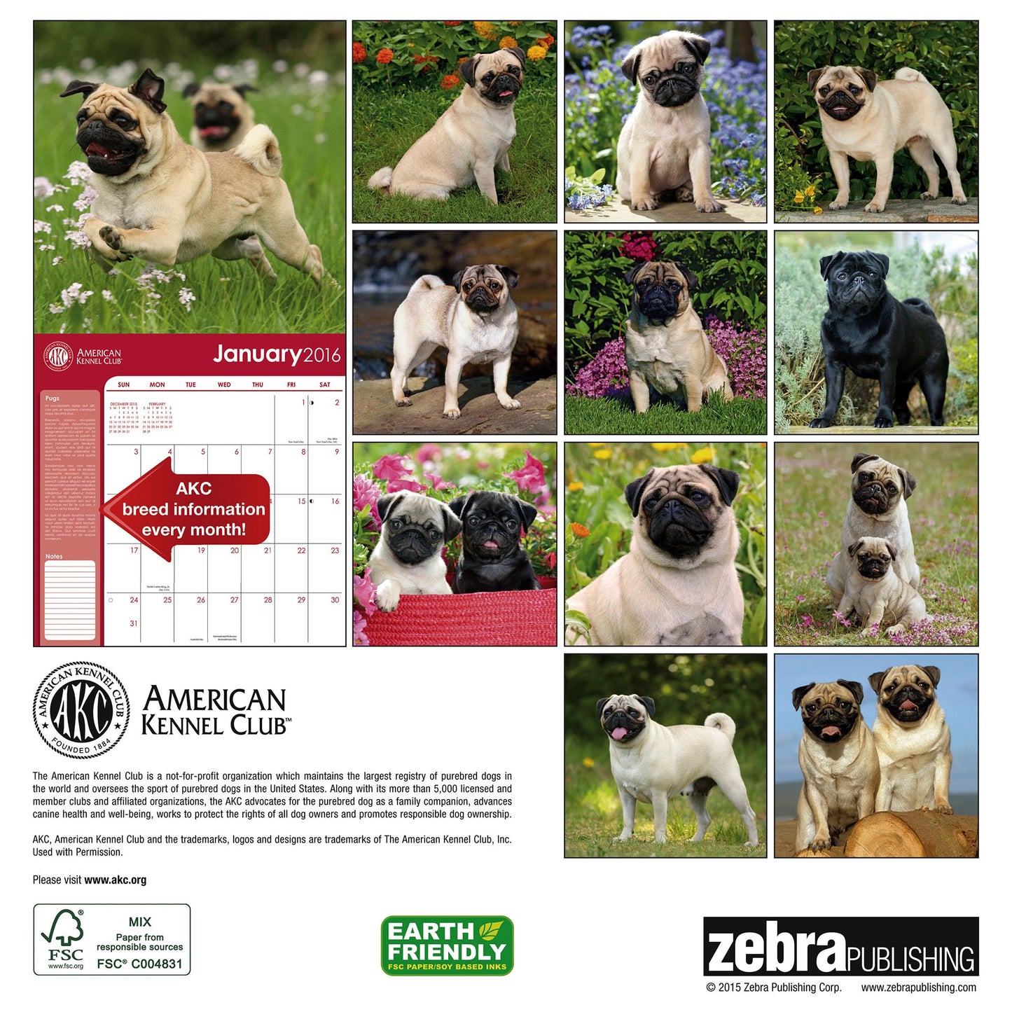 2016 Pugs Wall Calendar