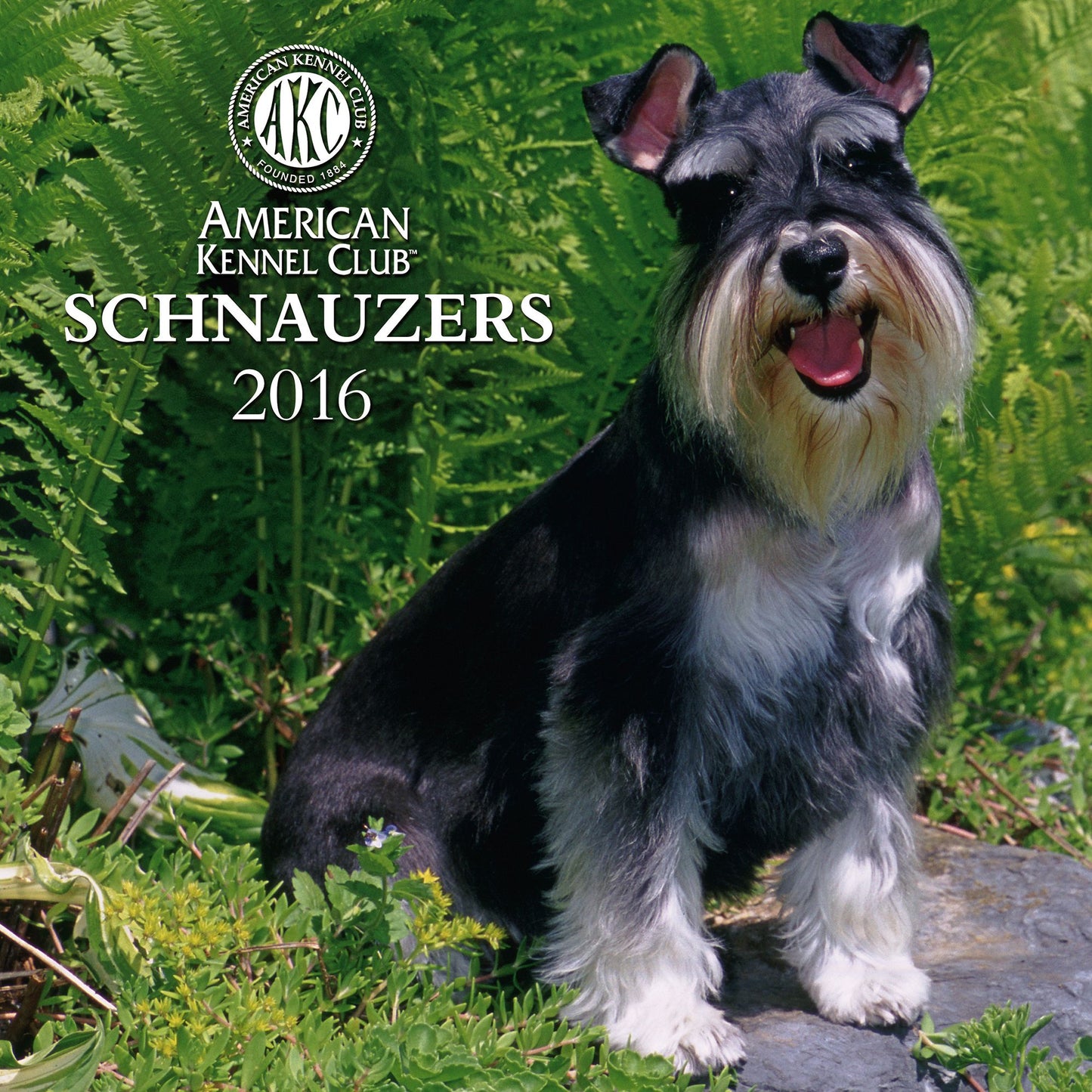 2016 Schnauzers Wall Calendar