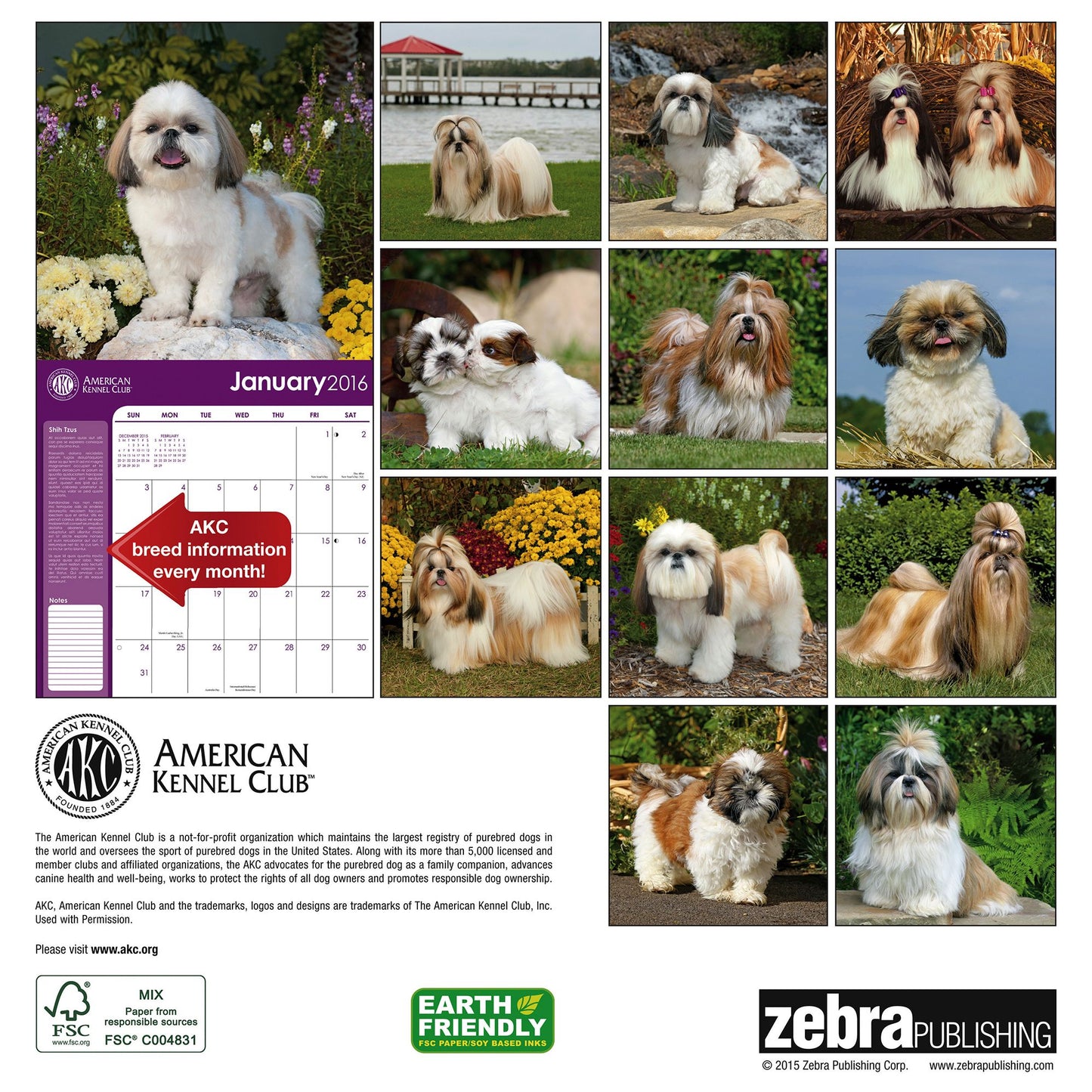 2016 Shih Tzus Wall Calendar