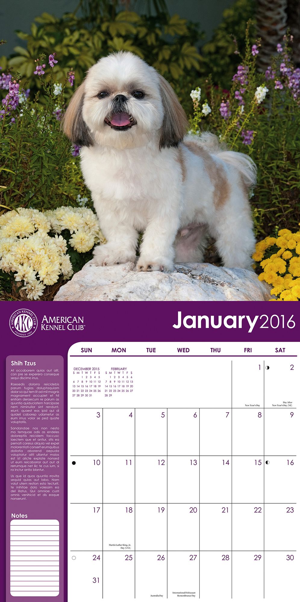 2016 Shih Tzus Wall Calendar