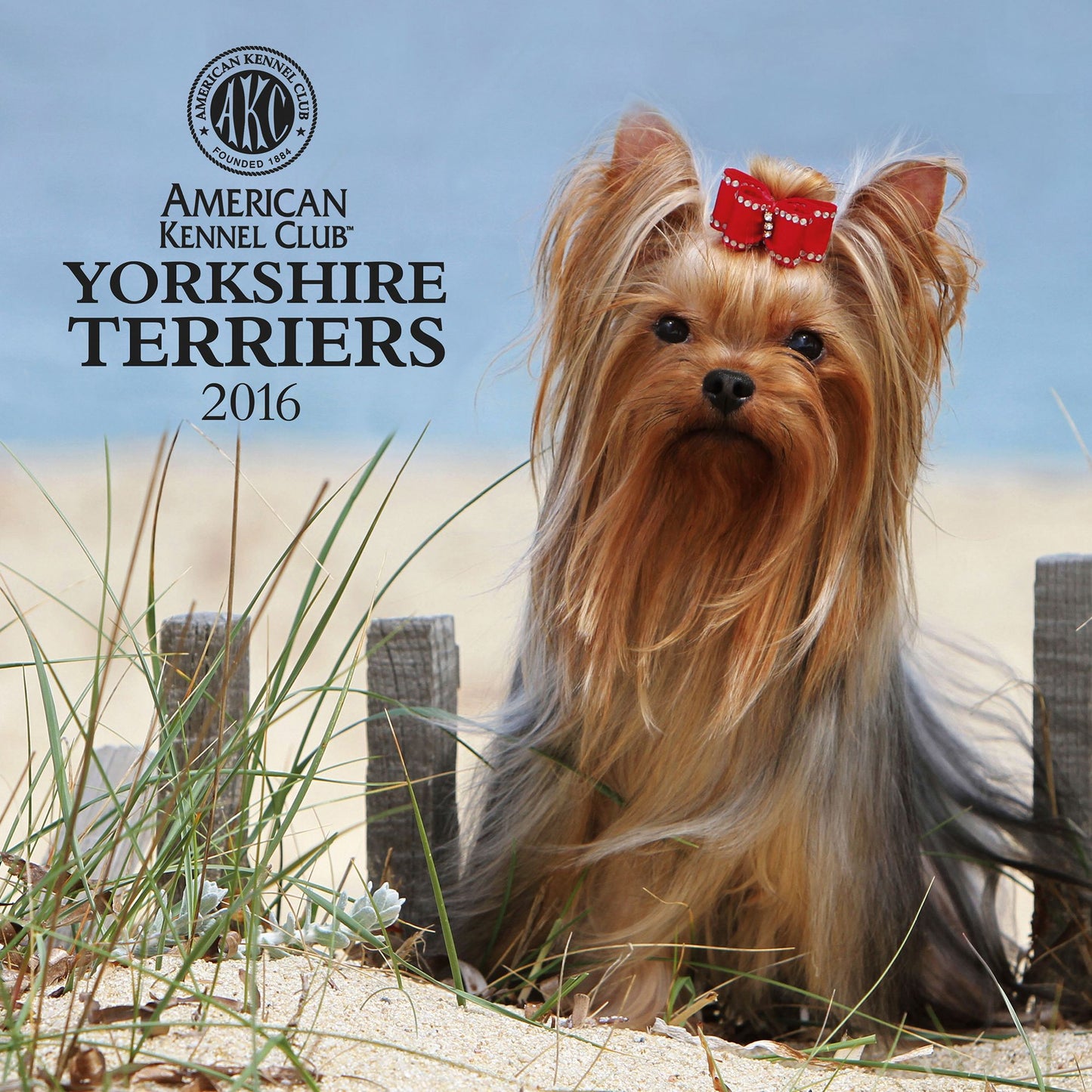2016 Yorkshire Terriers Wall Calendar