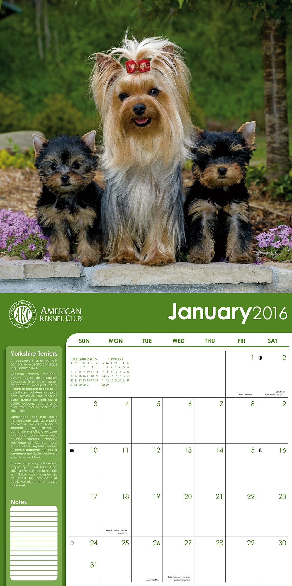 2016 Yorkshire Terriers Wall Calendar